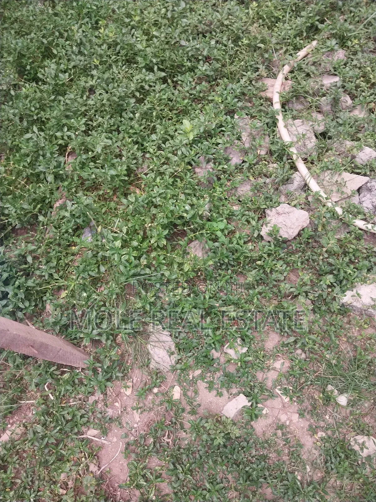 50ft/100ft Ijegun-ijegemo New Rd 10% Deposit Instalmental in Ijegun