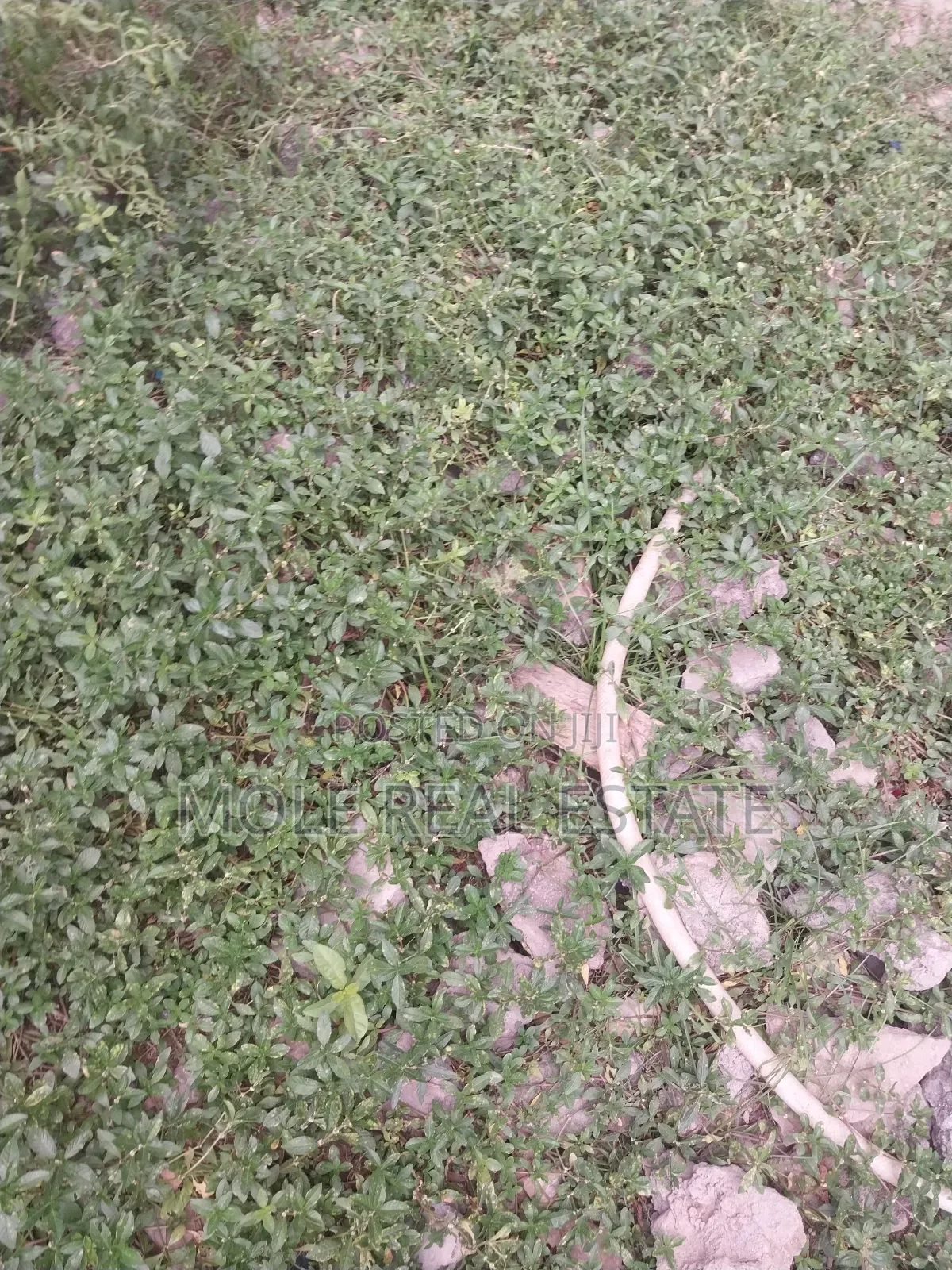 50ft/100ft Ijegun-ijegemo New Rd 10% Deposit Instalmental in Ijegun