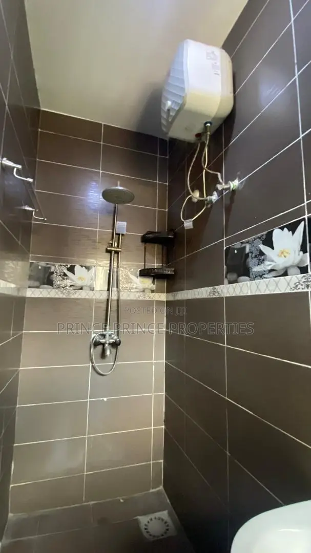 Furnished Mini Flat in Surulere for rent in Surulere