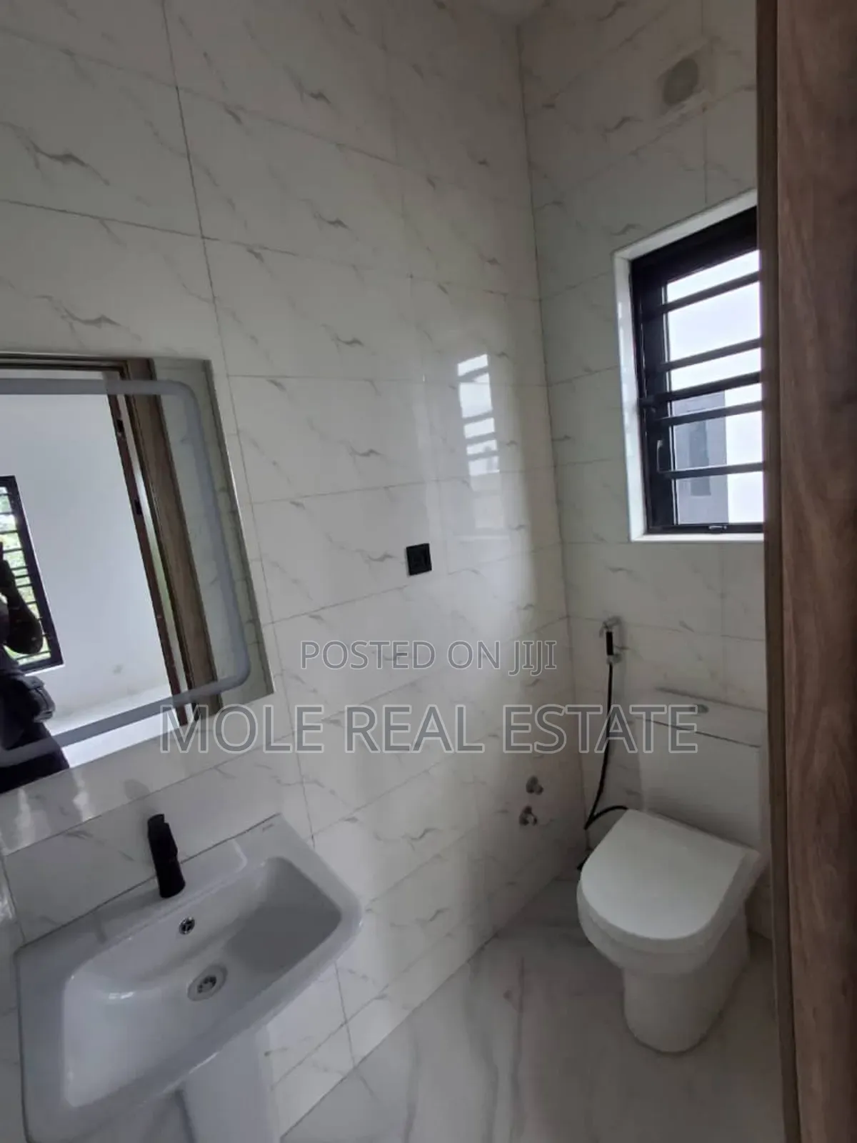 Luxery 6 Bed Fully Detached Full Plot Ajao Estate in Ajao Estate