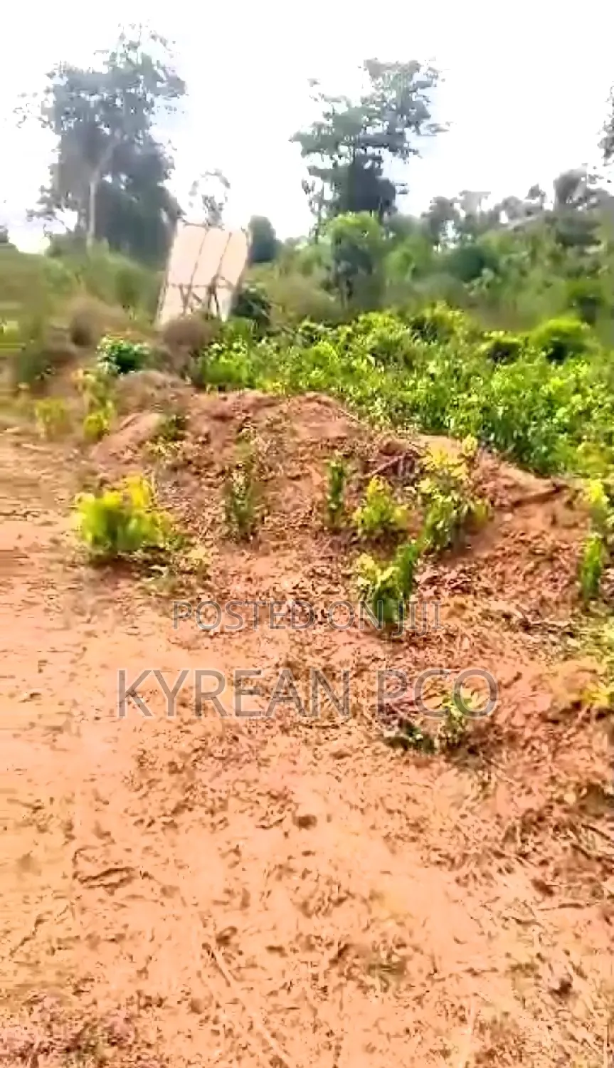 Acres and Plots of Land Available in Epe
