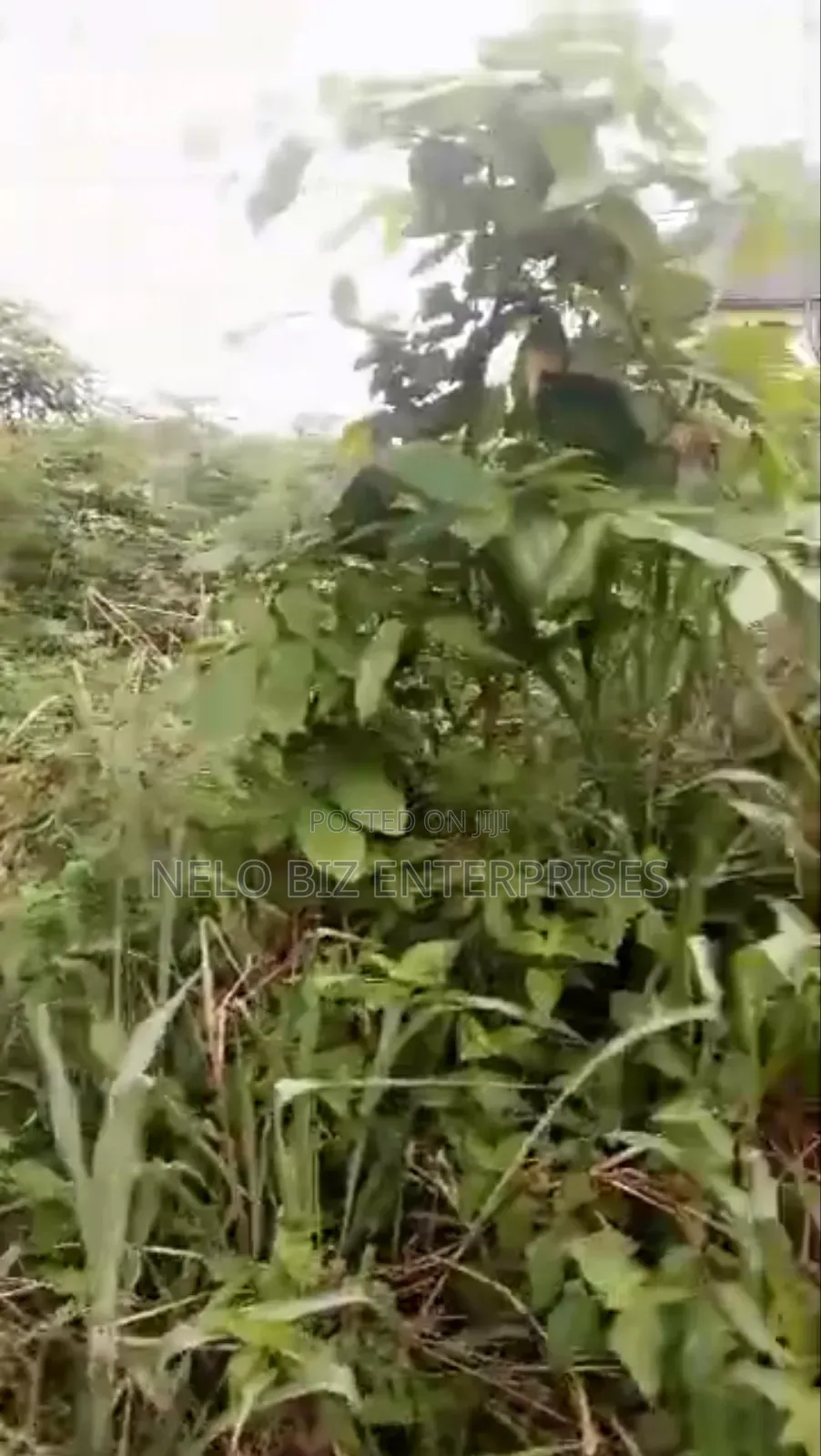 1 and Half Plot of Land for Sale in Owerri