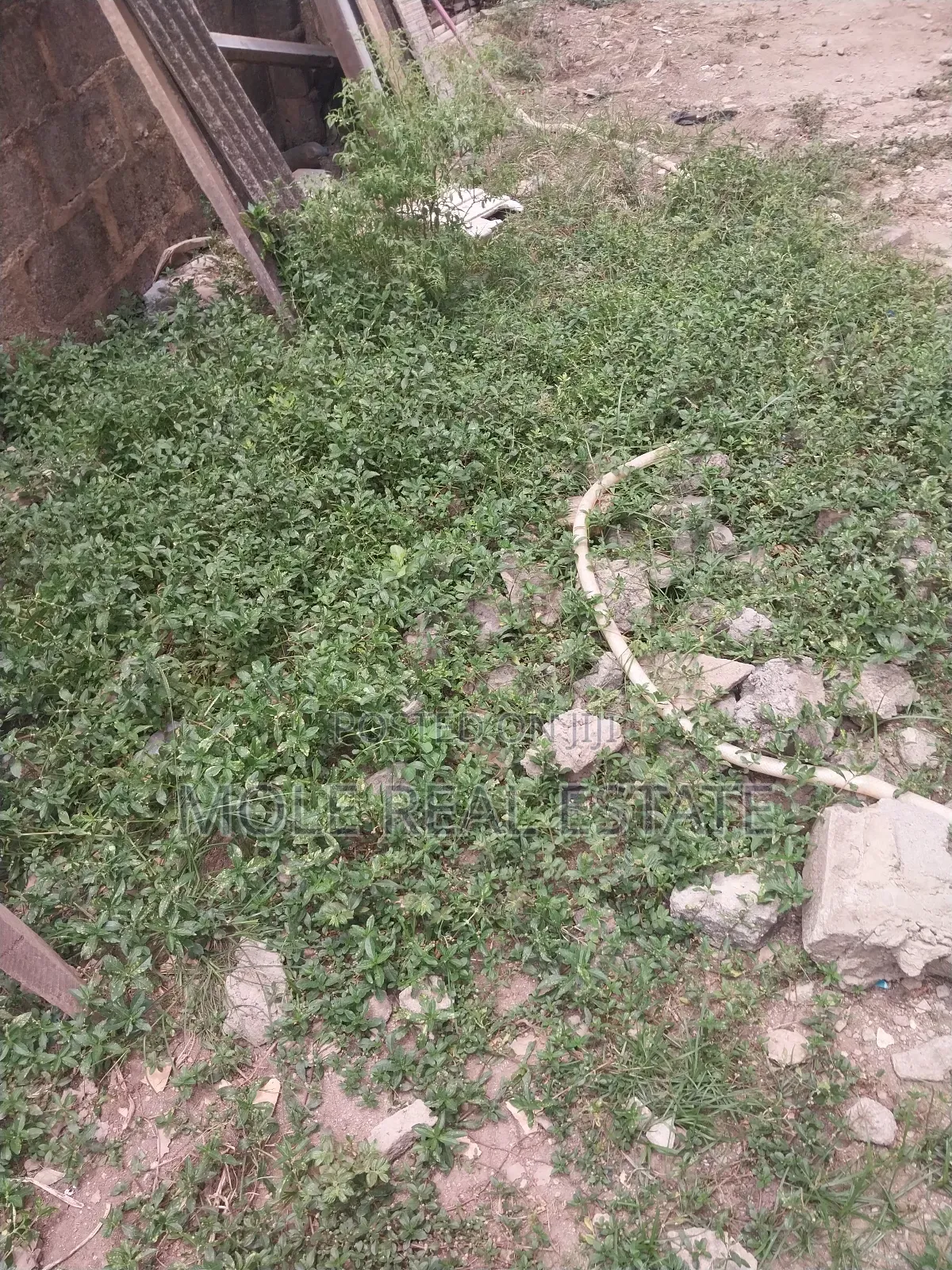 Distress Ijegun Ijegemo Full Plot Near New Road in Ijegun