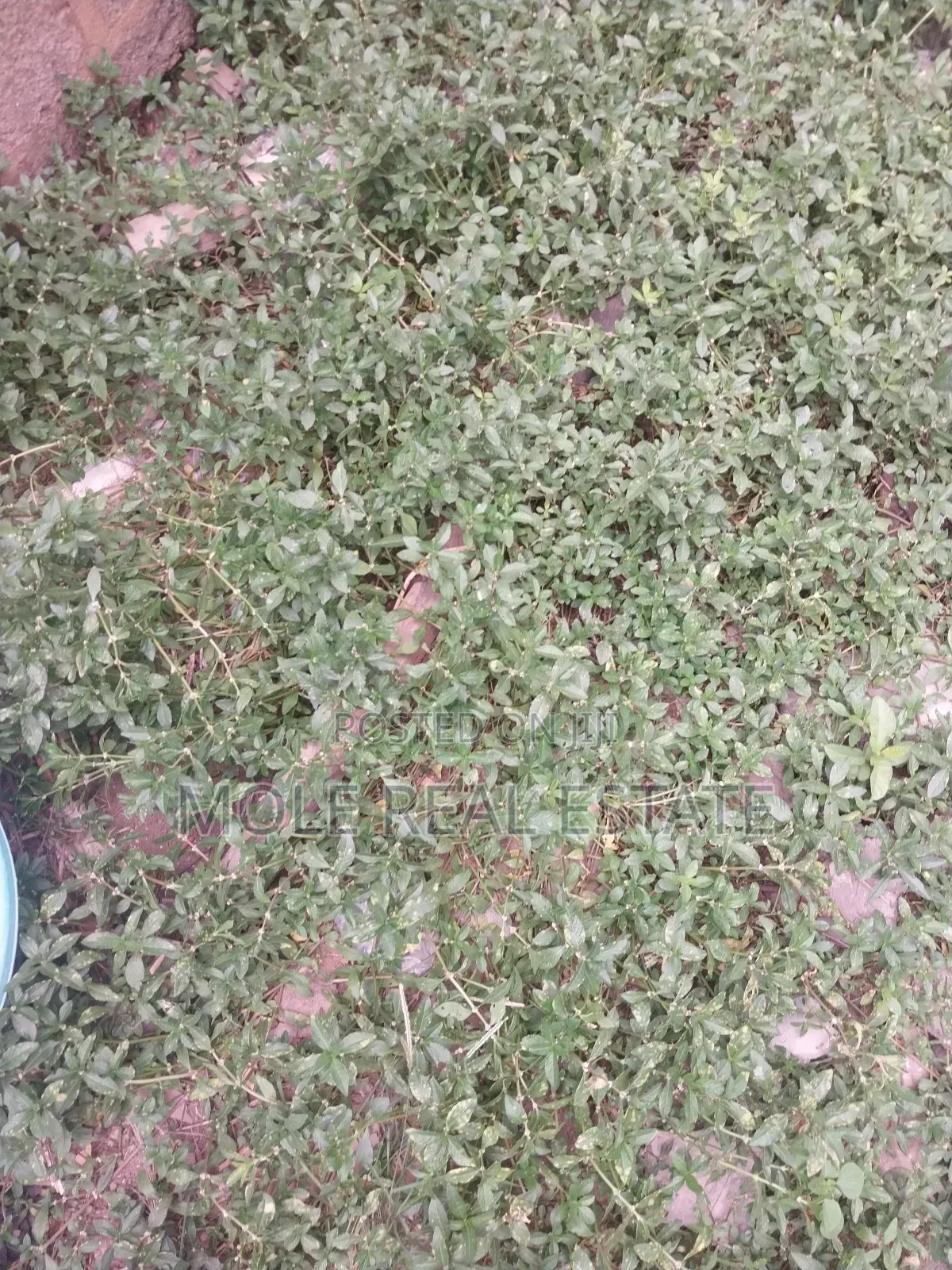 4 Flats 4 Sale Okeira Ogba Solid 2 Bedrooms in Ogba