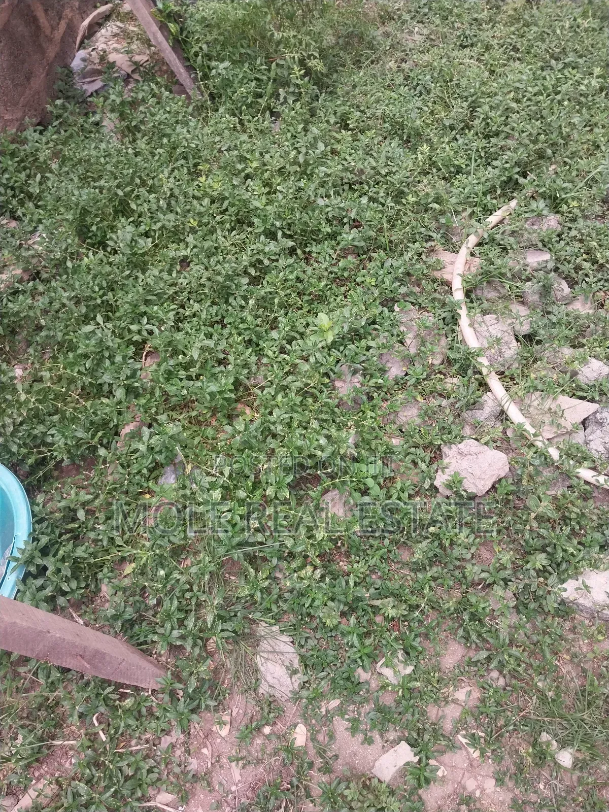 KLM of Verified Farm Land Odeda Ogun State in Odeda