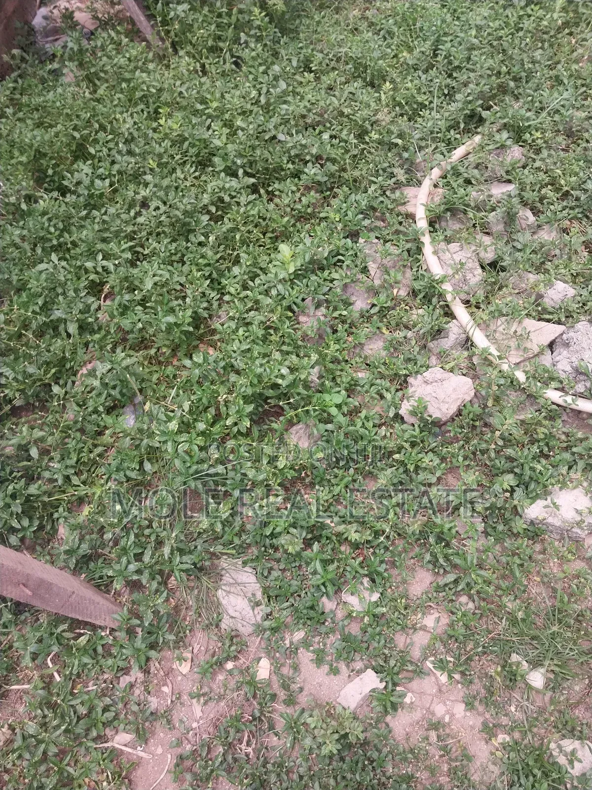 KLM of Verified Farm Land Odeda Ogun State in Odeda