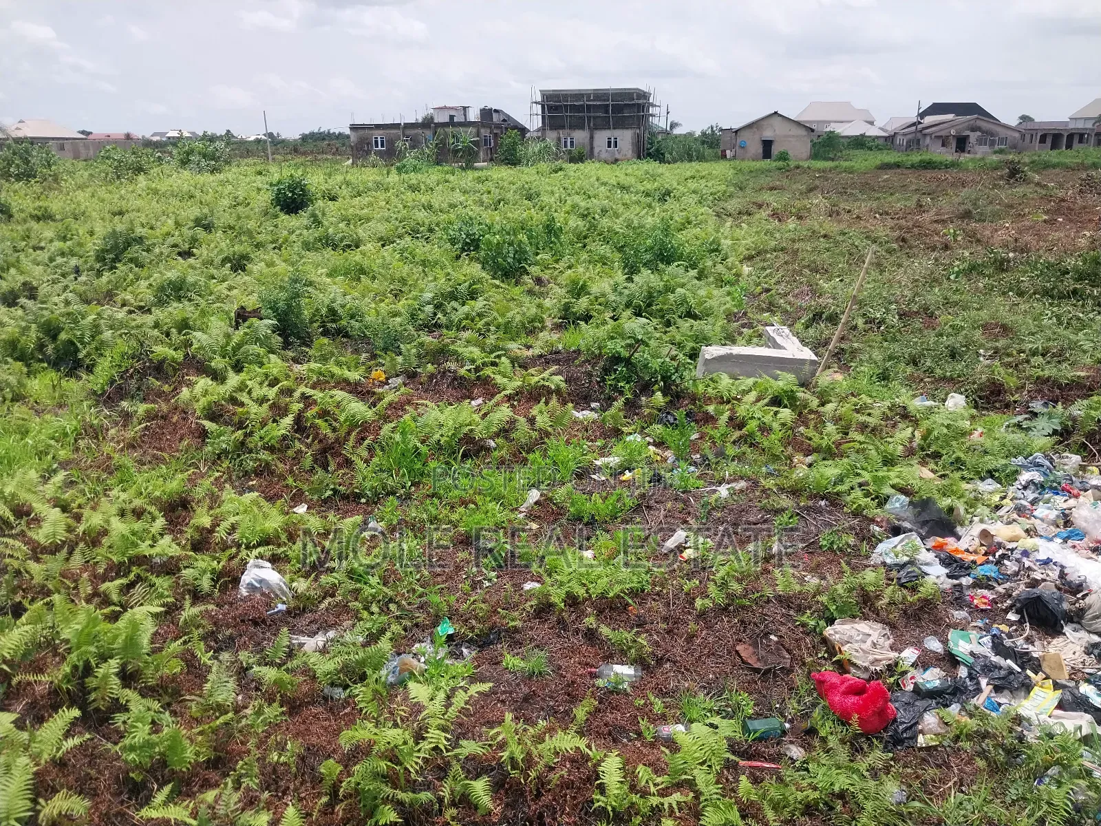 Genuine Farmland Bulk Now Selling Obafemi Owode Ogun State in Odeda
