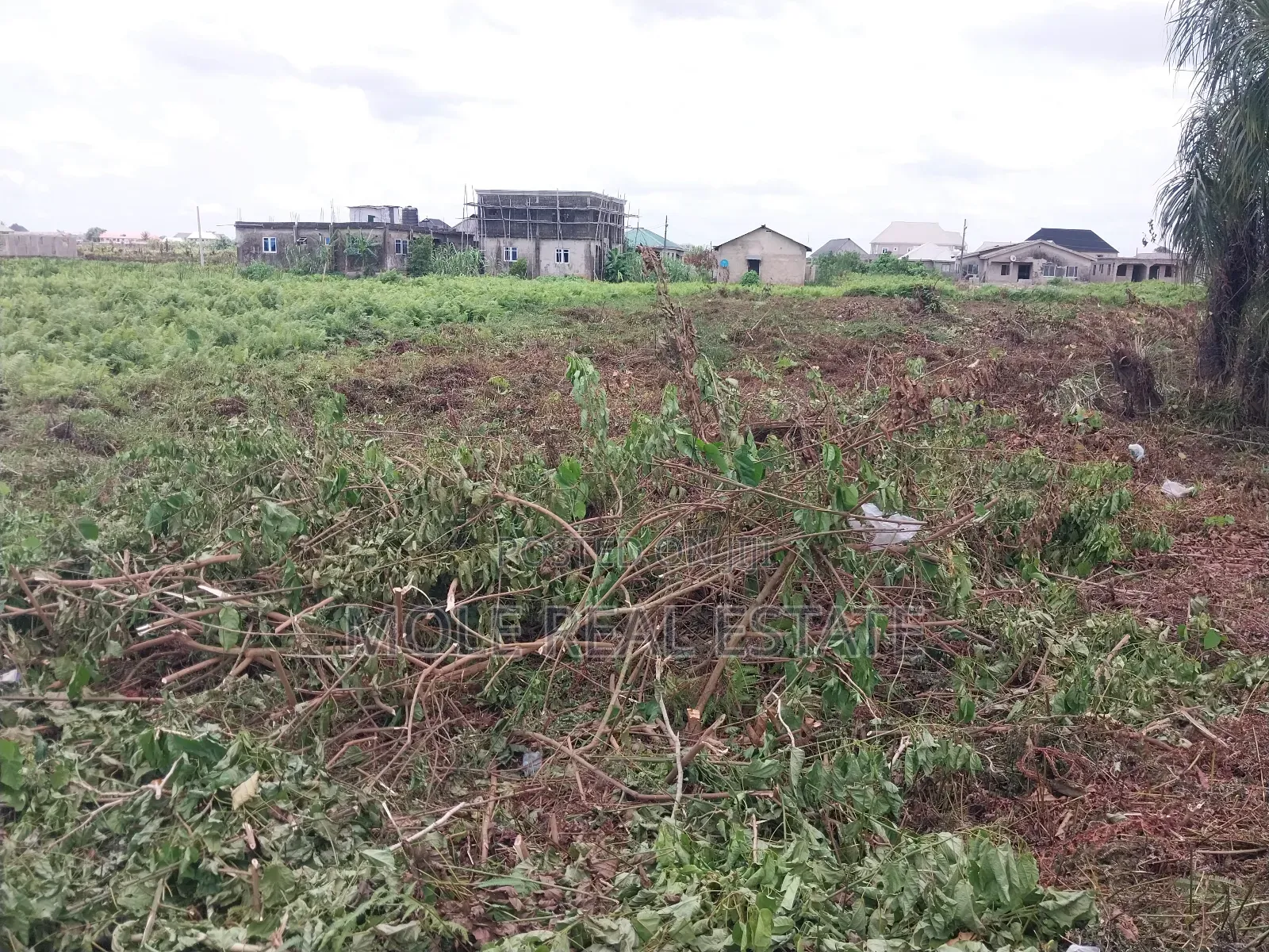 Genuine Farmland Bulk Now Selling Obafemi Owode Ogun State in Odeda