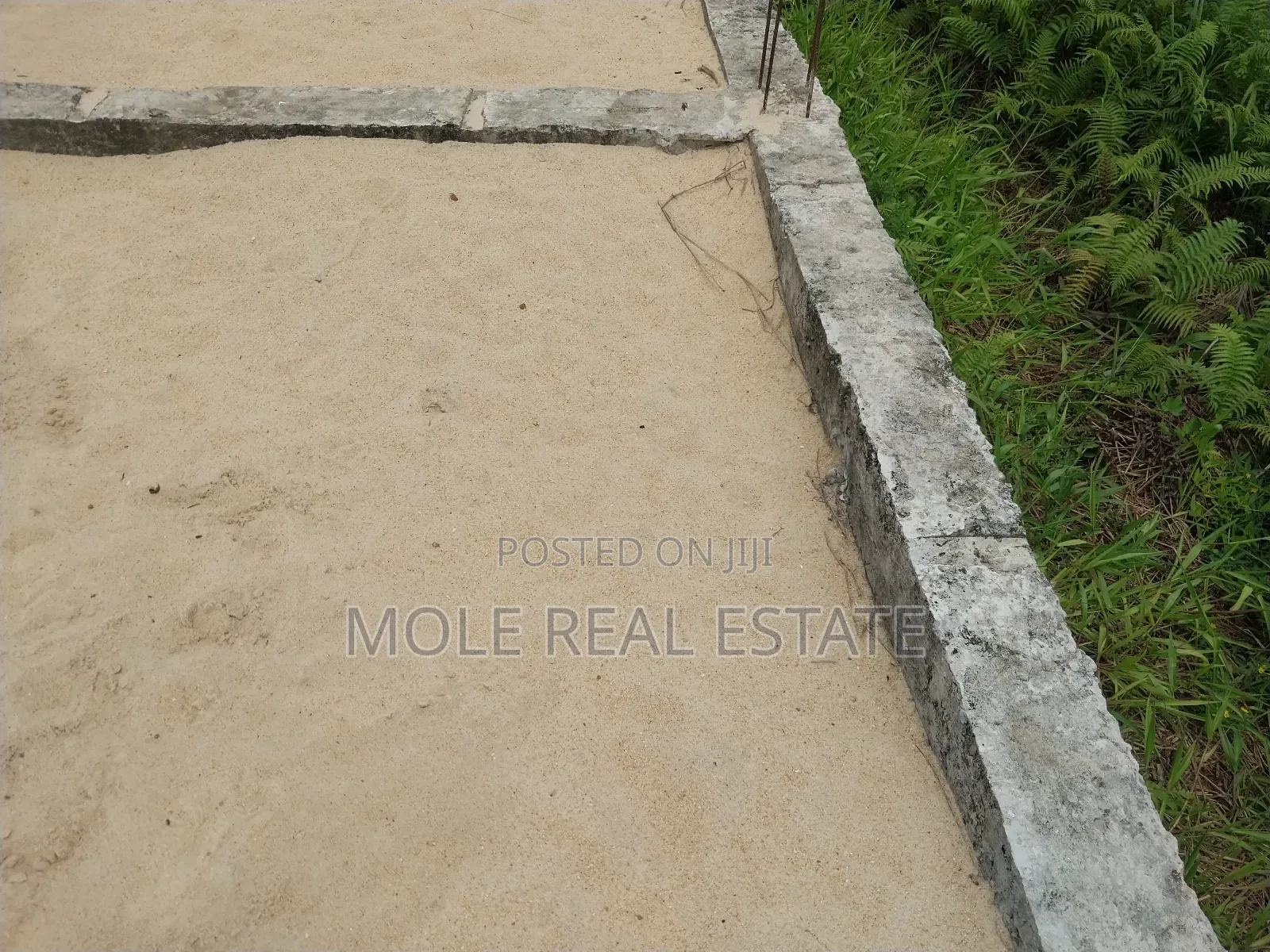 Distress Sale Half Plot Ijegun-Ijegemo New Rd in Ijegun