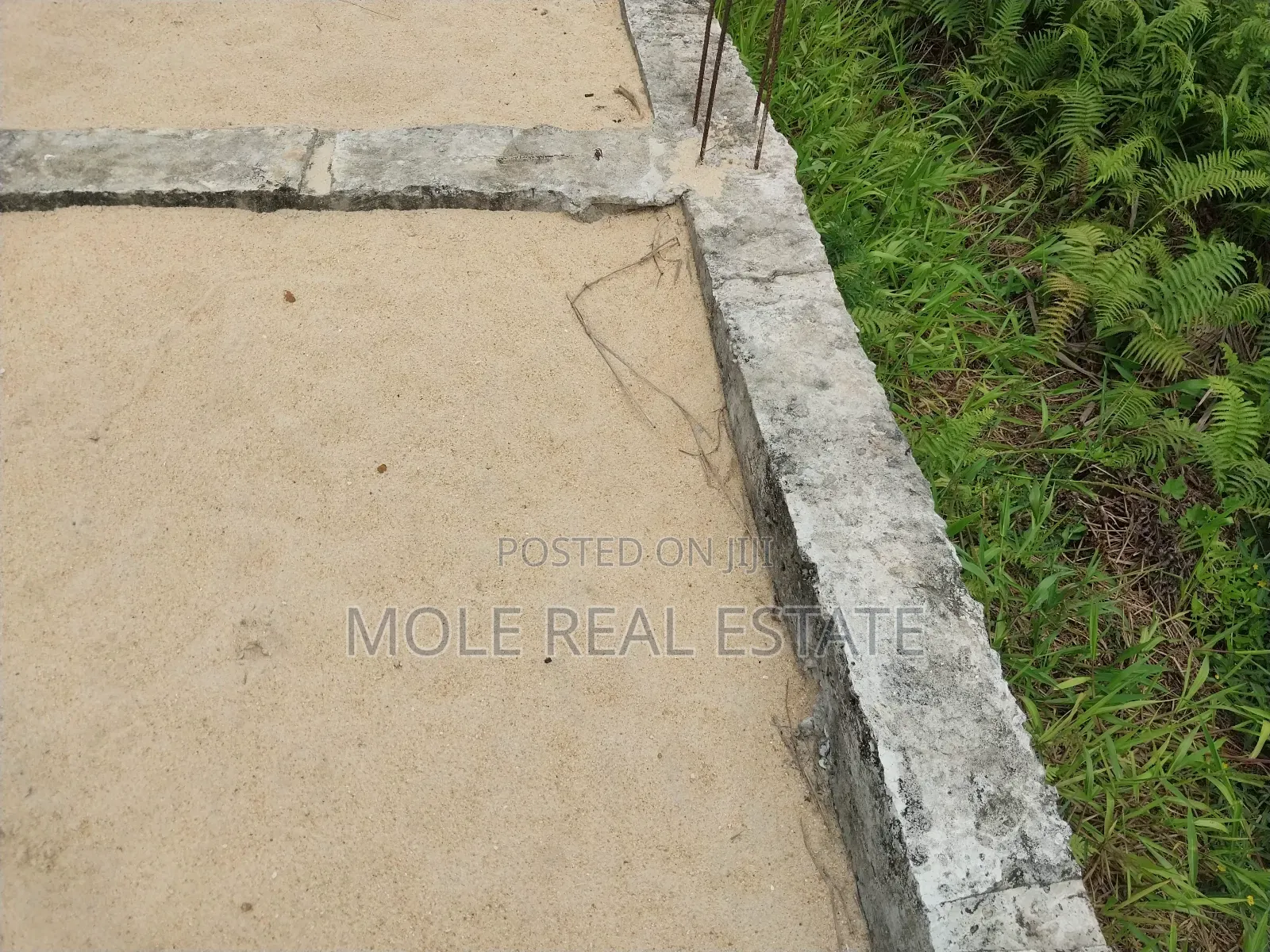 Distress Sale Half Plot Ijegun-Ijegemo New Rd in Ijegun