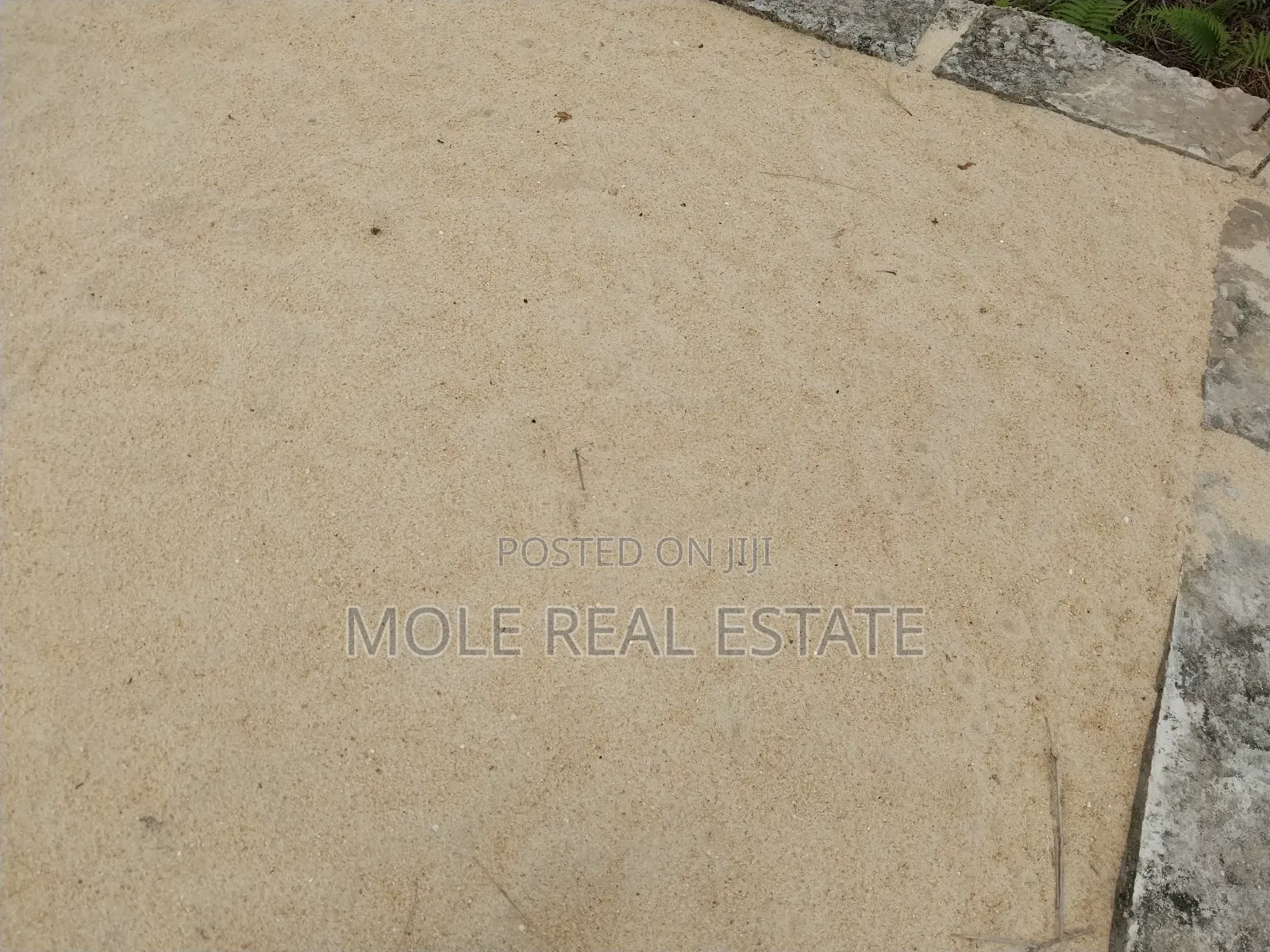 Distress Sale Half Plot Ijegun-Ijegemo New Rd in Ijegun
