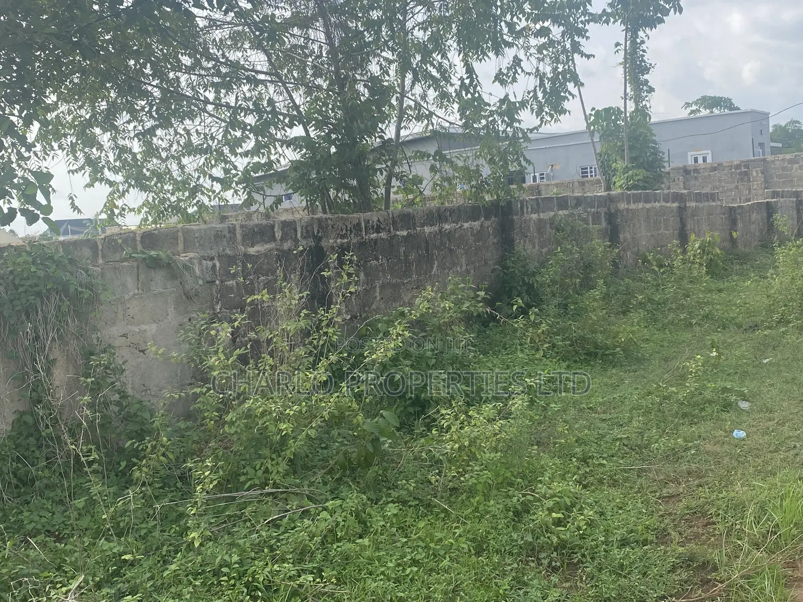 Nice 50ft by 100ft With C of O Fenced Round in Amagba, G.R.A in Benin City