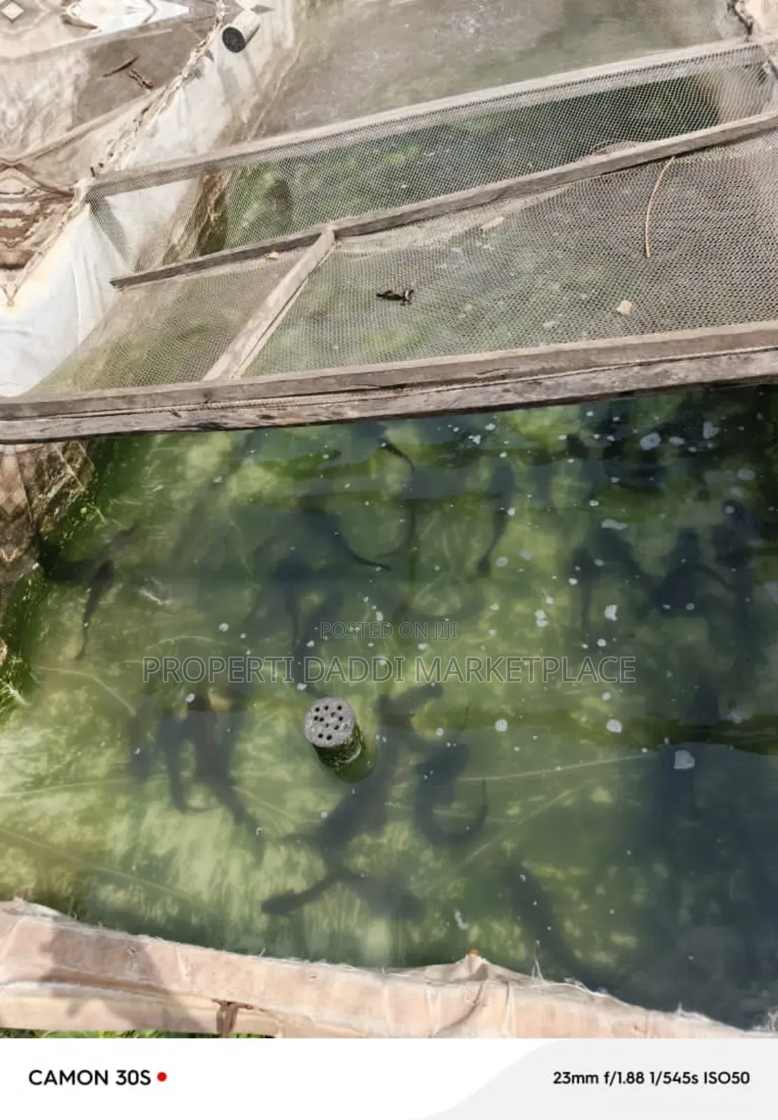 Existing Fish Farm for Sale at Command Area of Ipaja in Ipaja Road