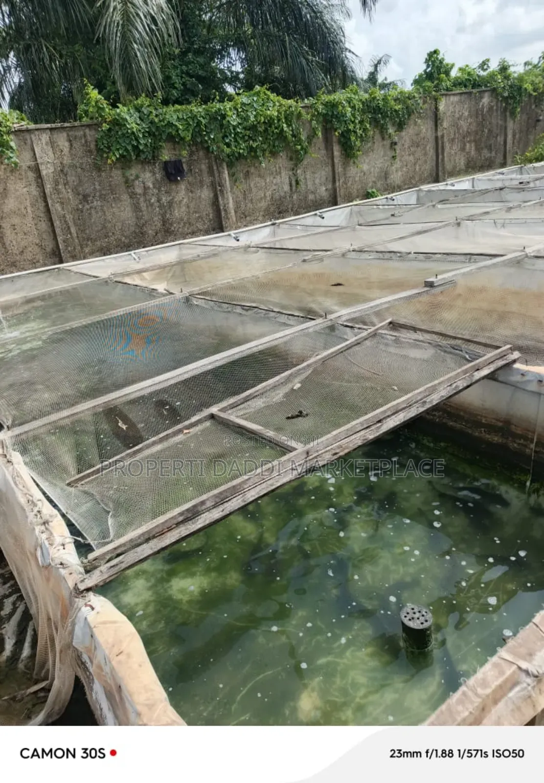 Existing Fish Farm for Sale at Command Area of Ipaja in Ipaja Road