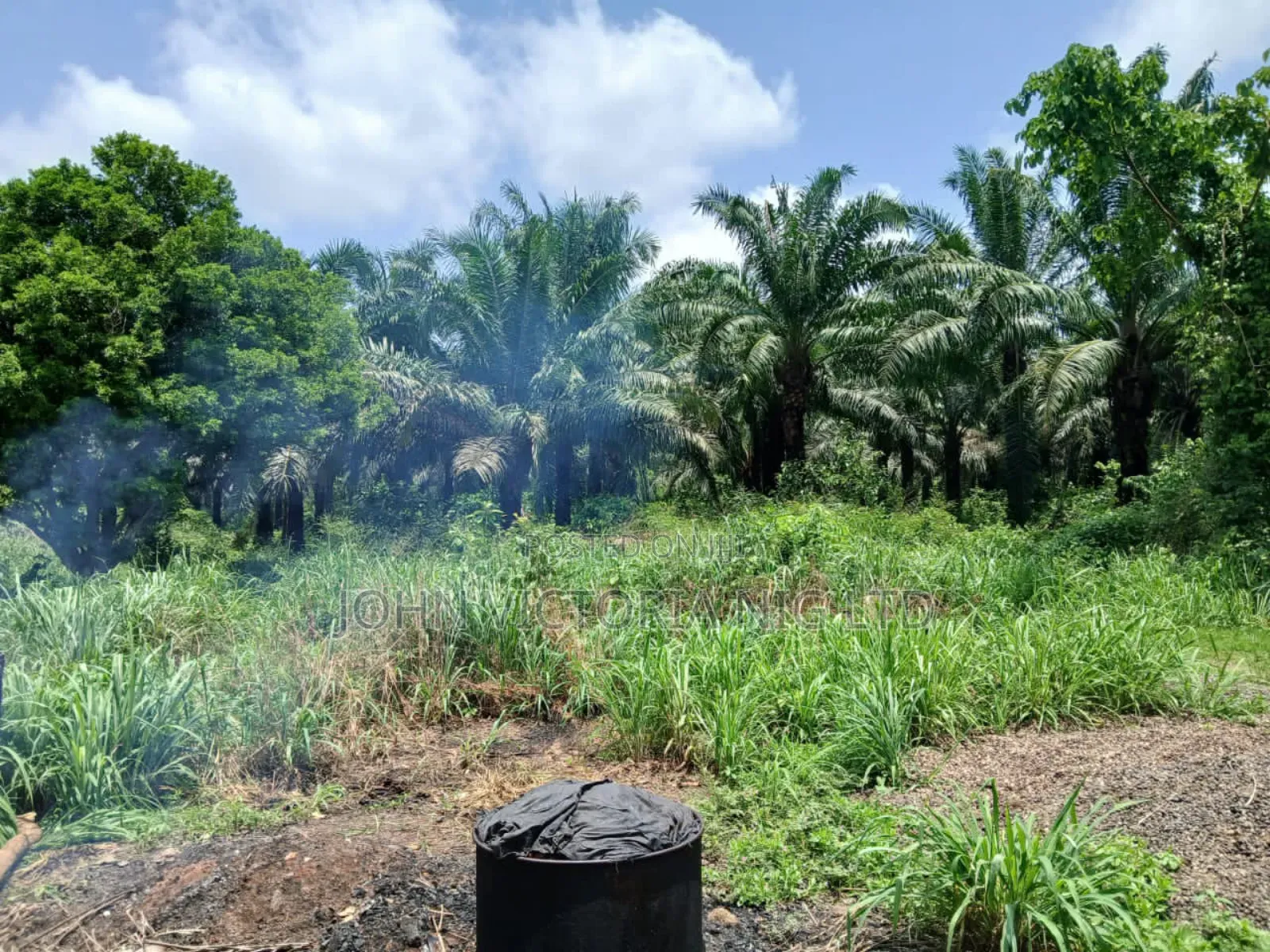 Palm Plantation Registered Survey, Deed, Family Receipt in Ibadan