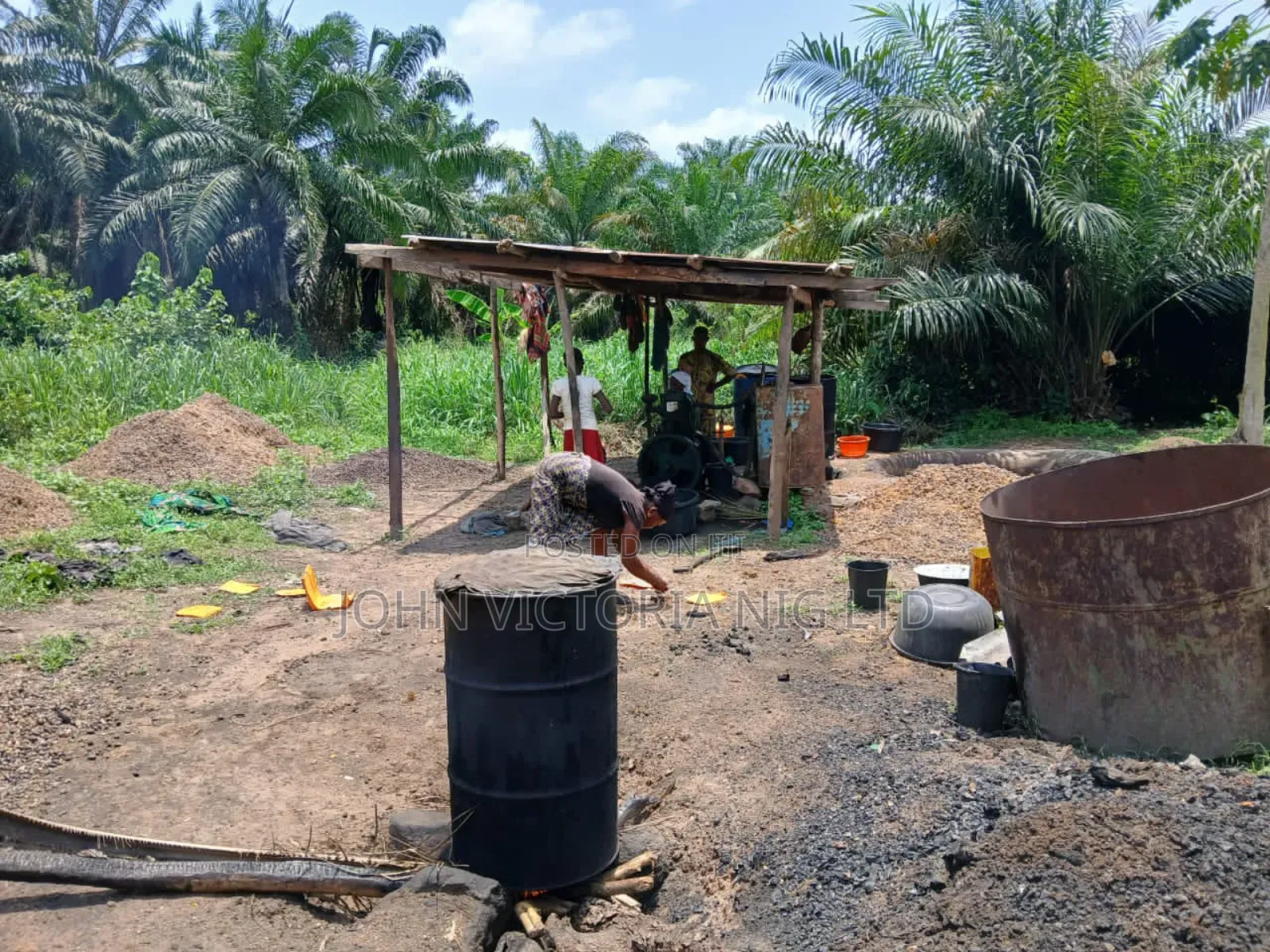 Palm Plantation Registered Survey, Deed, Family Receipt in Ibadan