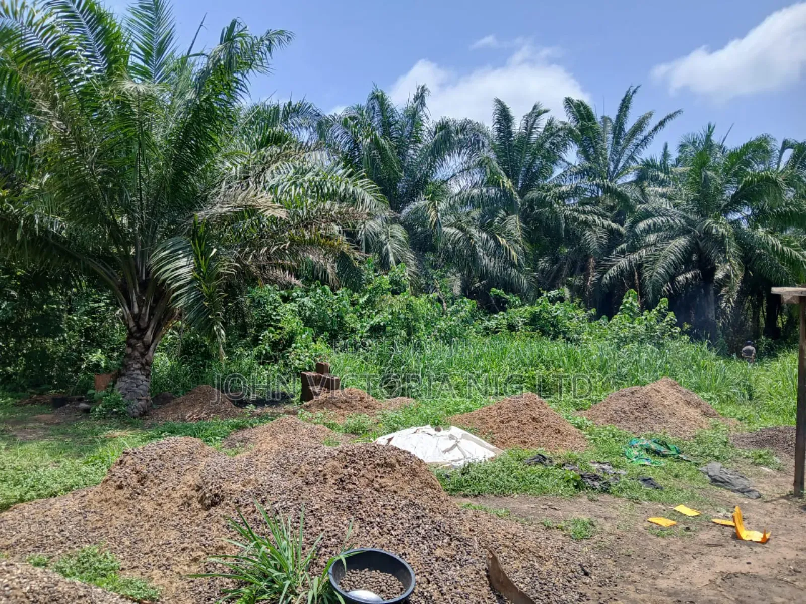 Palm Plantation Registered Survey, Deed, Family Receipt in Ibadan