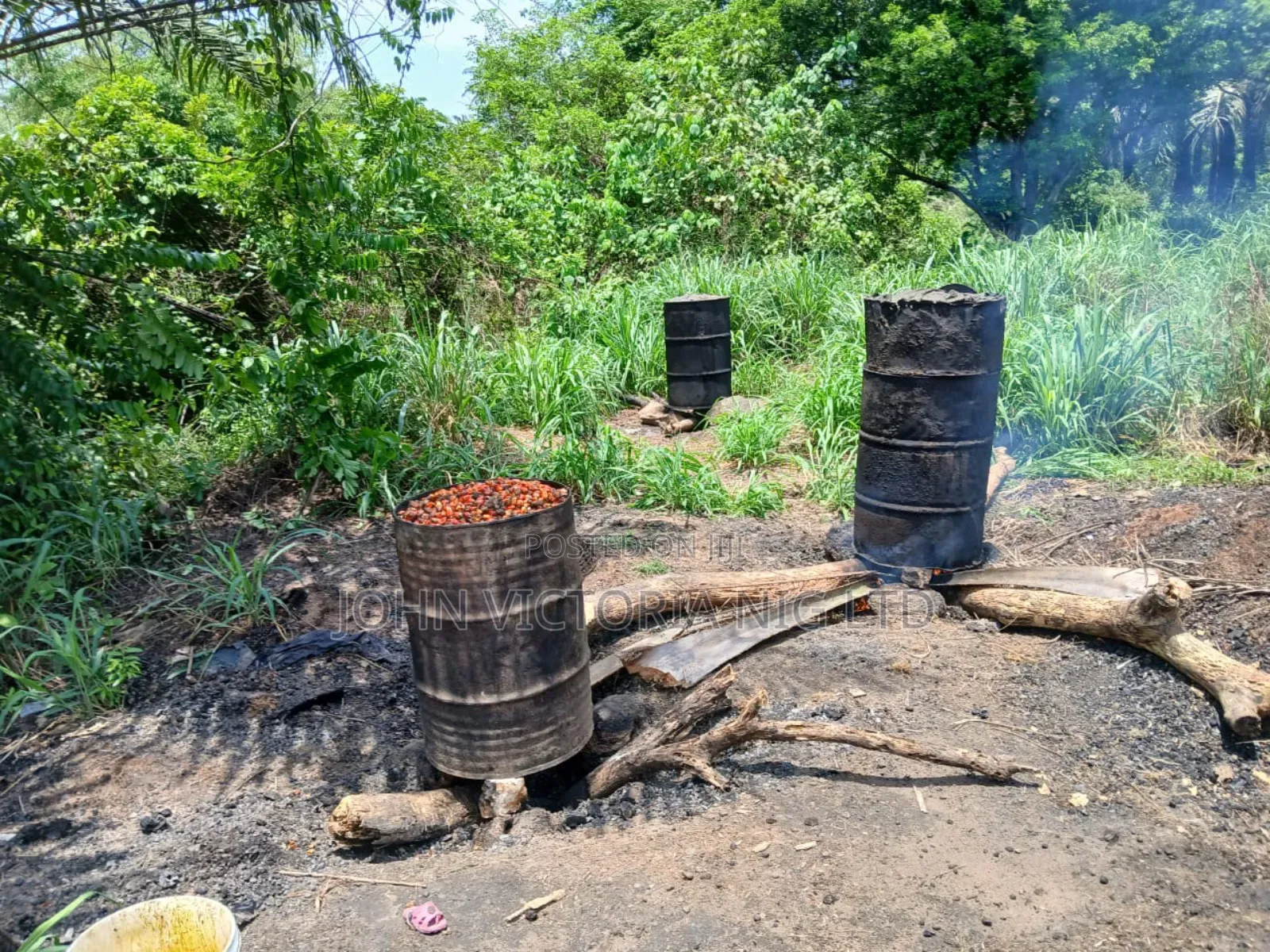 Palm Plantation Registered Survey, Deed, Family Receipt in Ibadan