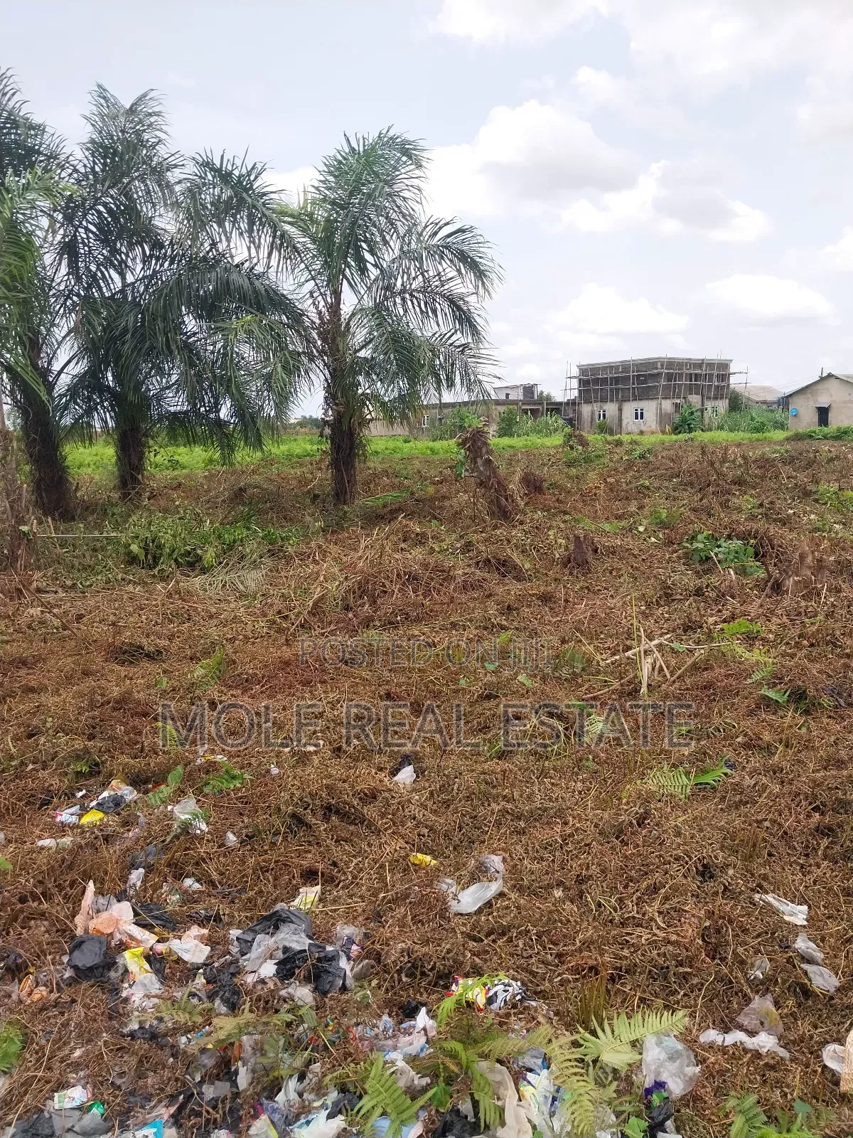 200 Acres Mixed Use Land Mologede Juntion Odeda Ogun State in Odeda