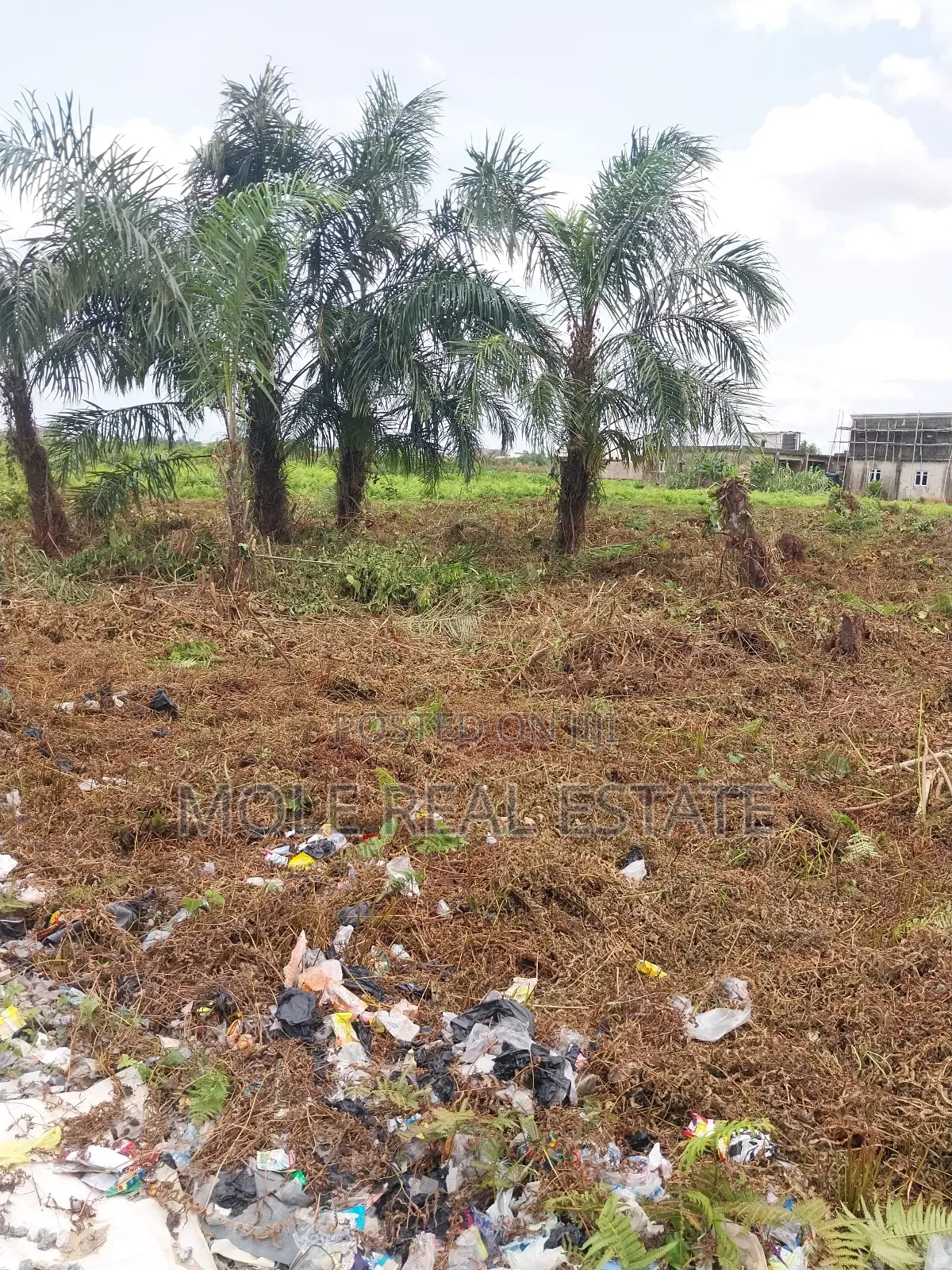 200 Acres Mixed Use Land Mologede Juntion Odeda Ogun State in Odeda
