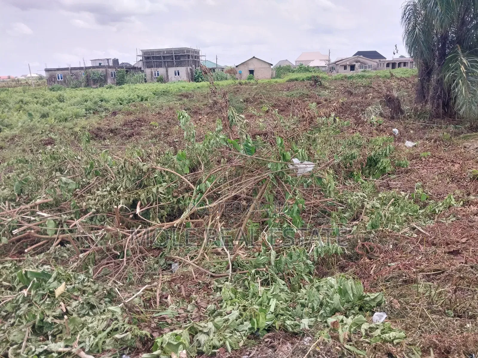 50 Acres Mixed Use Verified Farmland Lafenwa Ogun State in Odeda