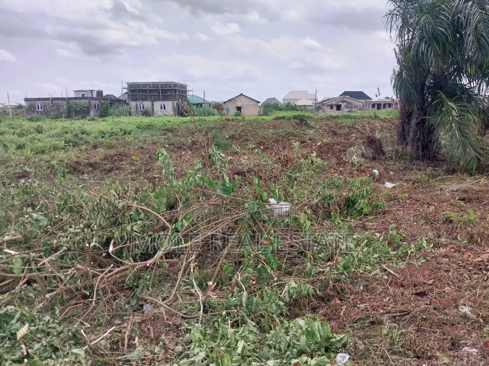 50 Acres Mixed Use Verified Farmland Lafenwa Ogun State in Odeda