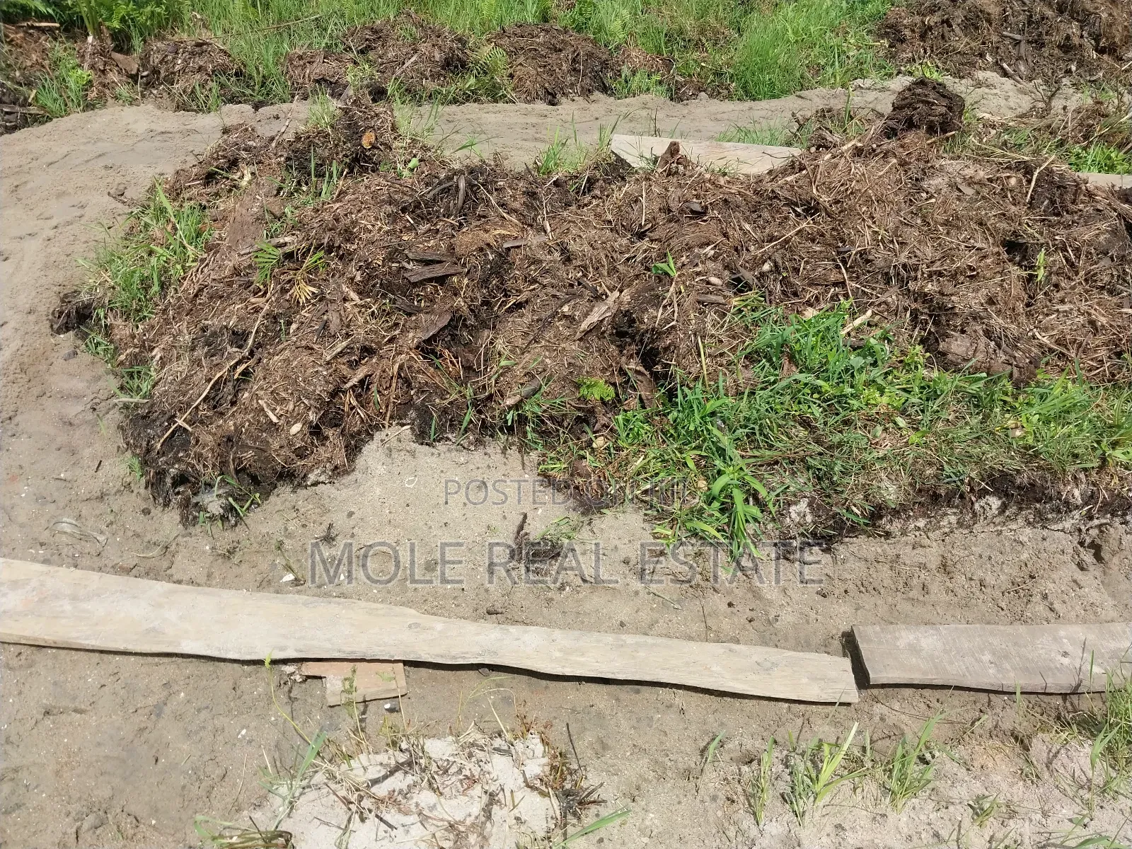 50 Acres of Fertile Farmland 4 Sale Odeda Ogun State in Odeda
