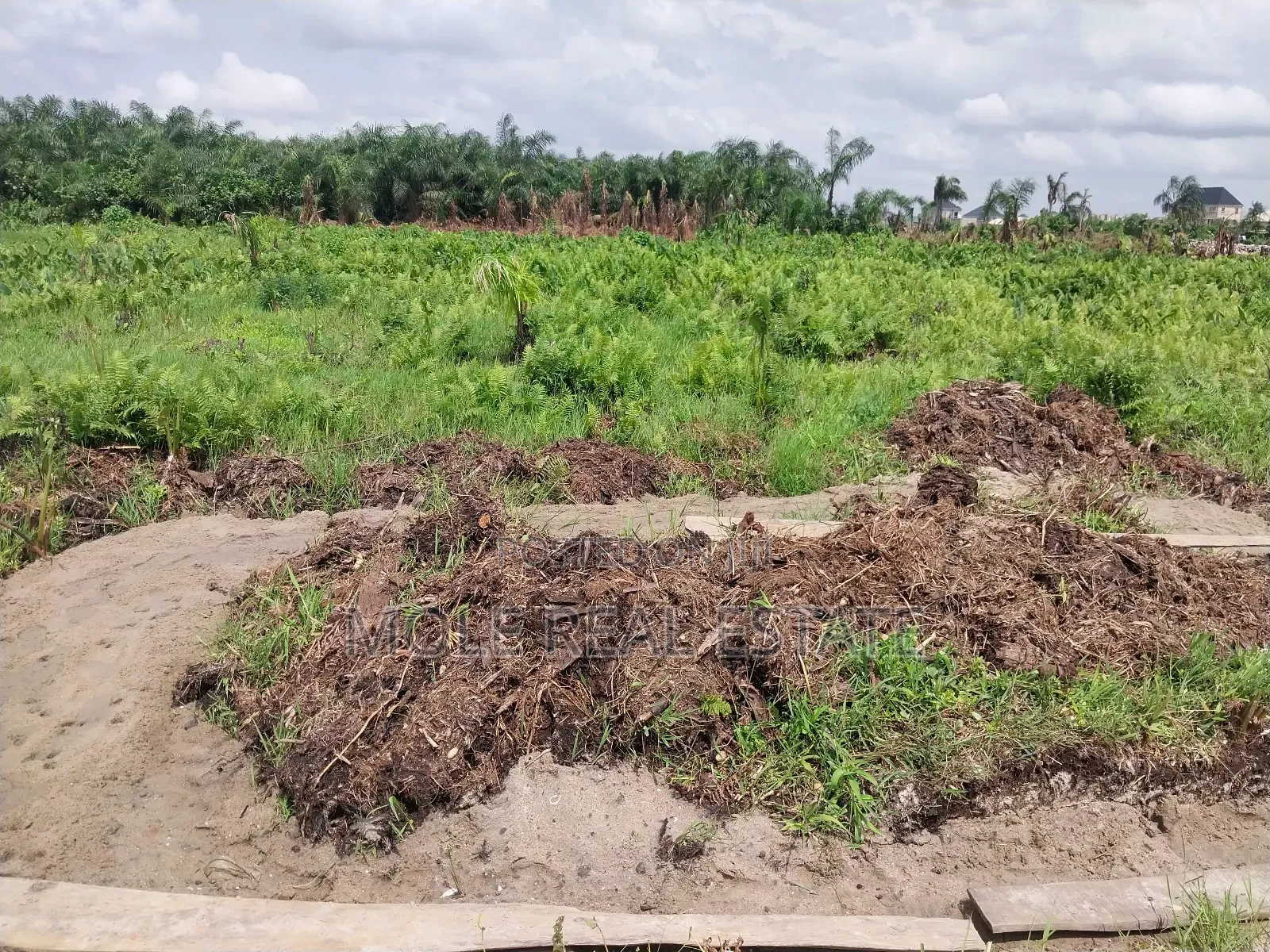 Acres of Farmland Now Selling Obafemi Ogun State in Obafemi-Owode