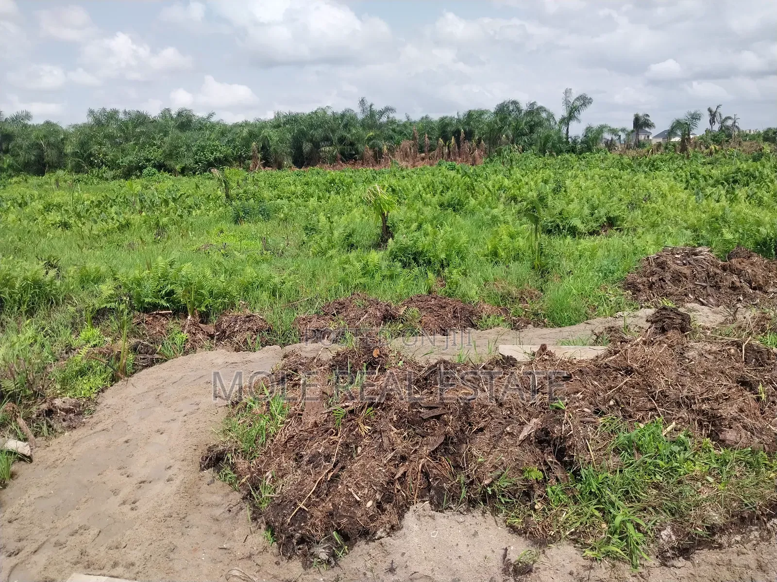 Acres of Farmland Now Selling Obafemi Ogun State in Obafemi-Owode