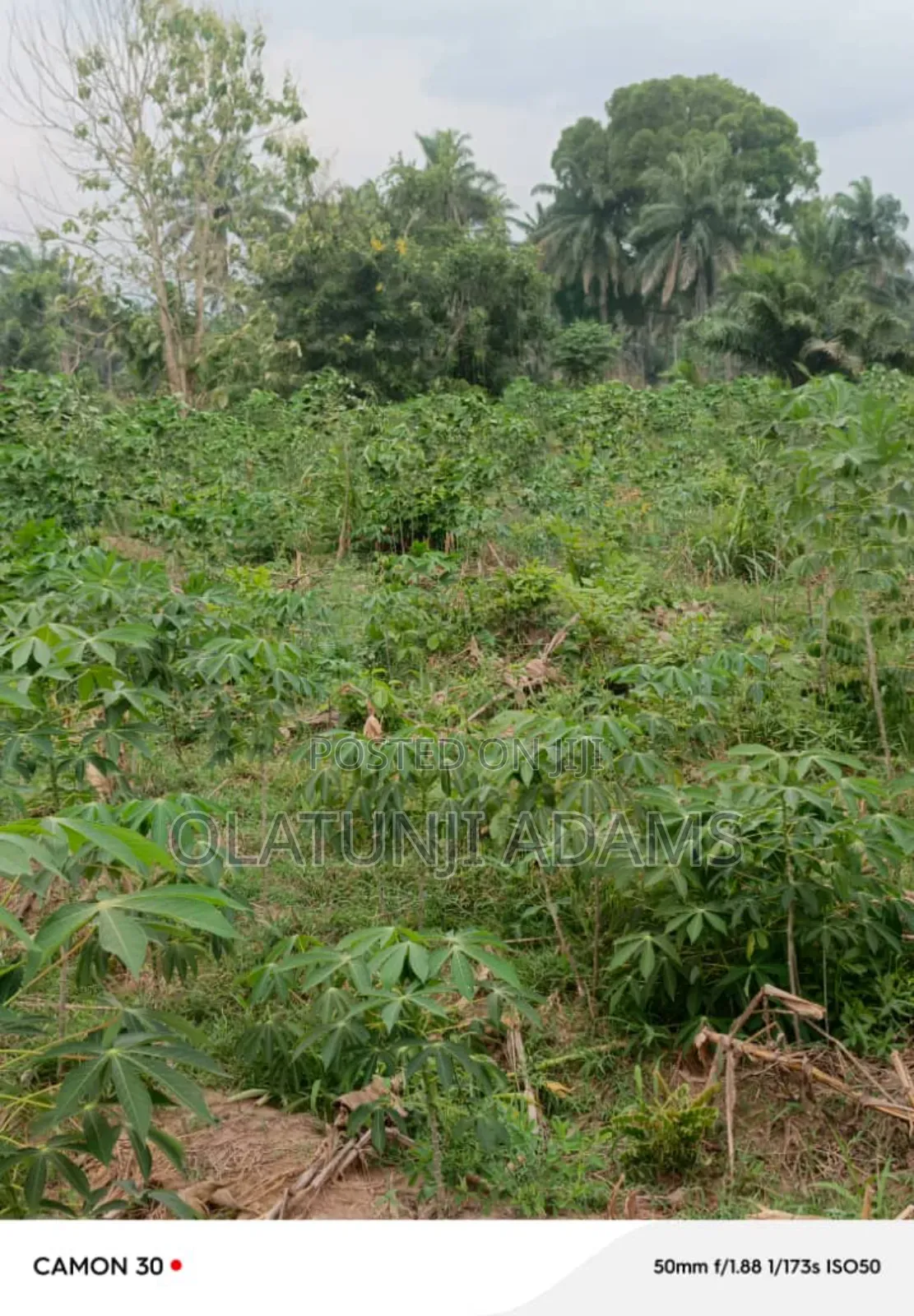 100acres of Farmland at Wakajaye/Gbongan in Osogbo
