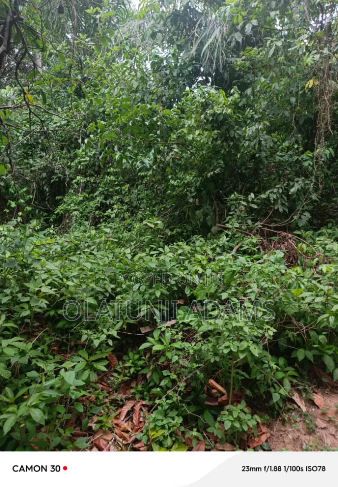100acres of Farmland at Wakajaye/Gbongan in Osogbo