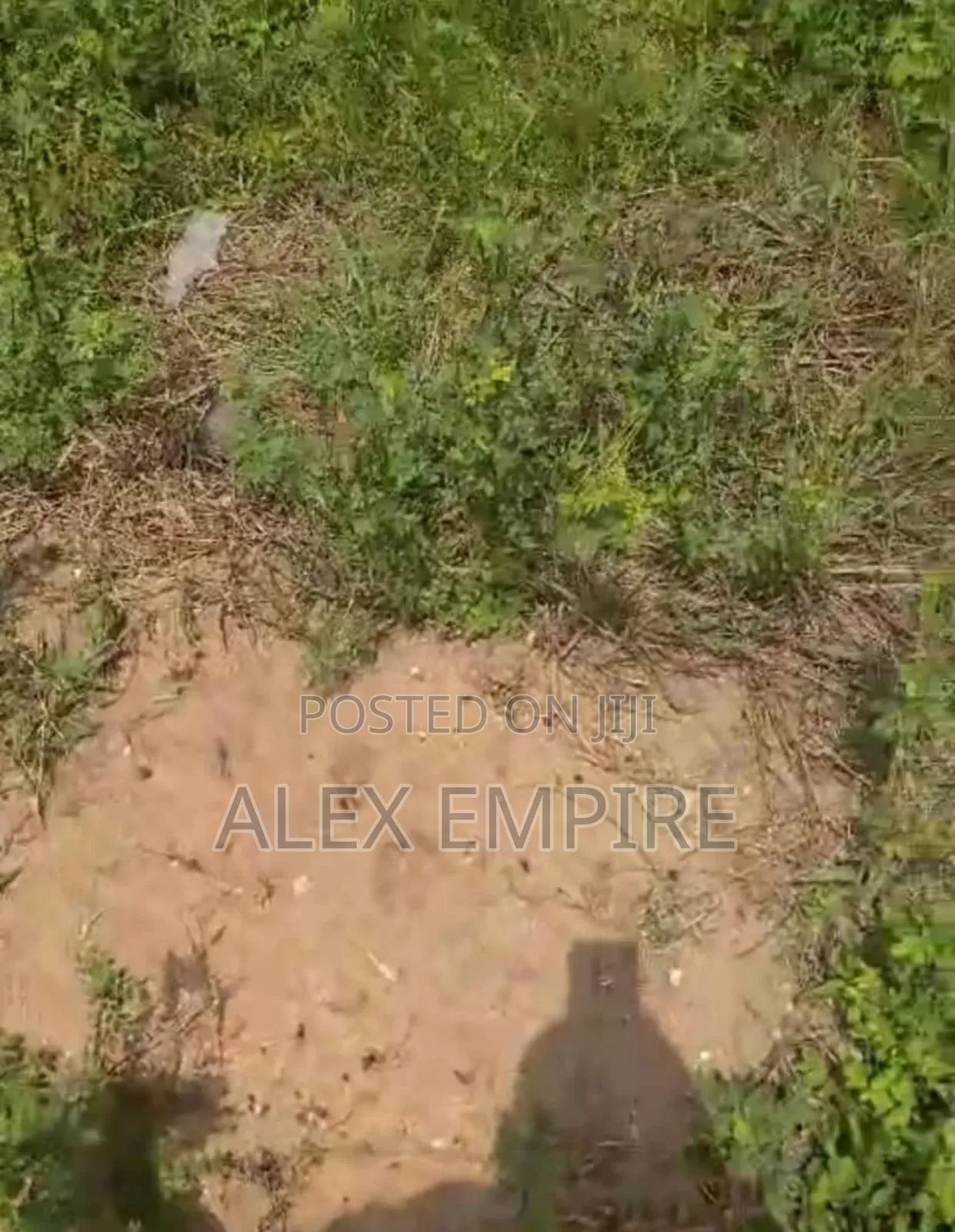 Half Plot of Land for Sale in Whitesand Bucknor in Isolo