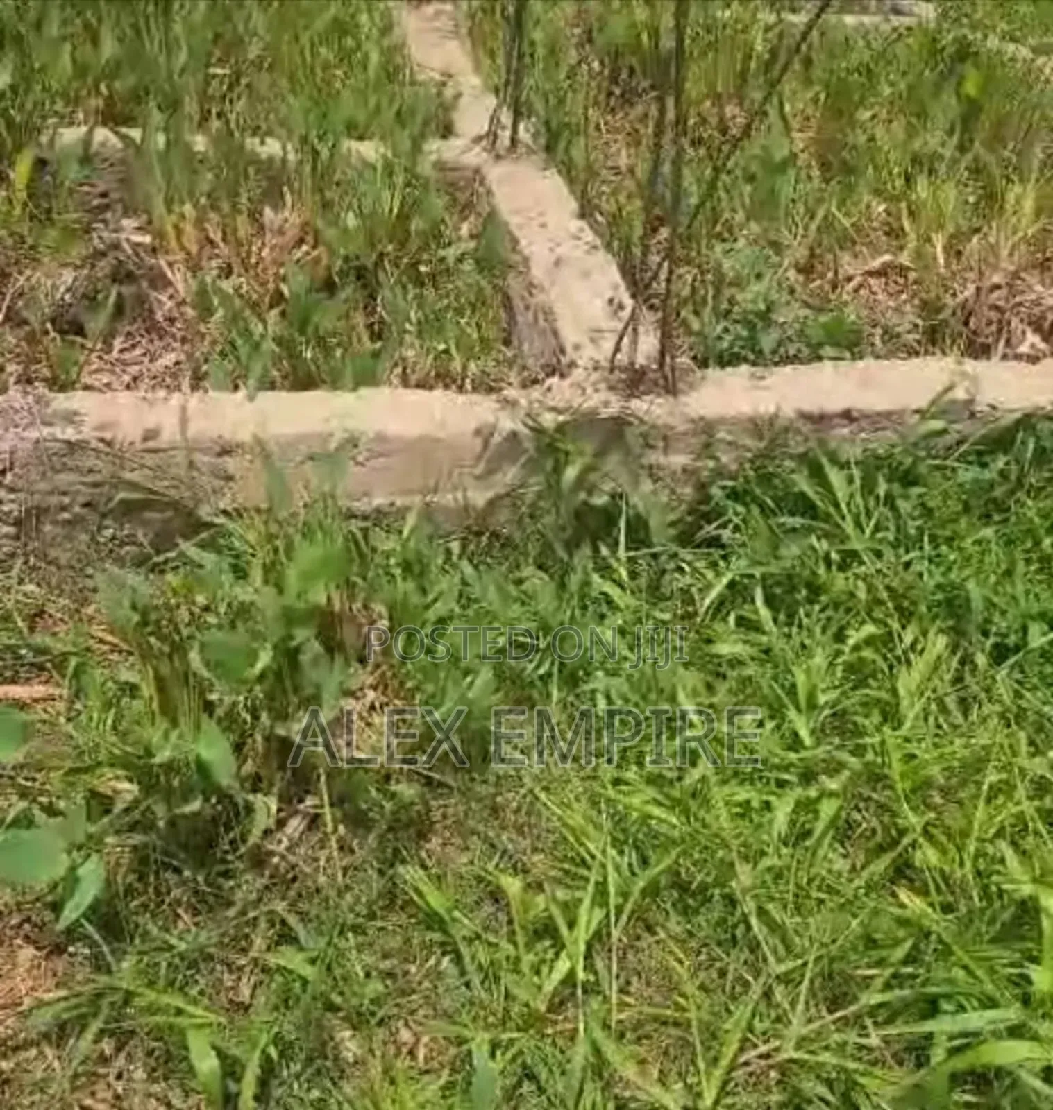 Half Plot of Land for Sale in Whitesand Bucknor in Isolo