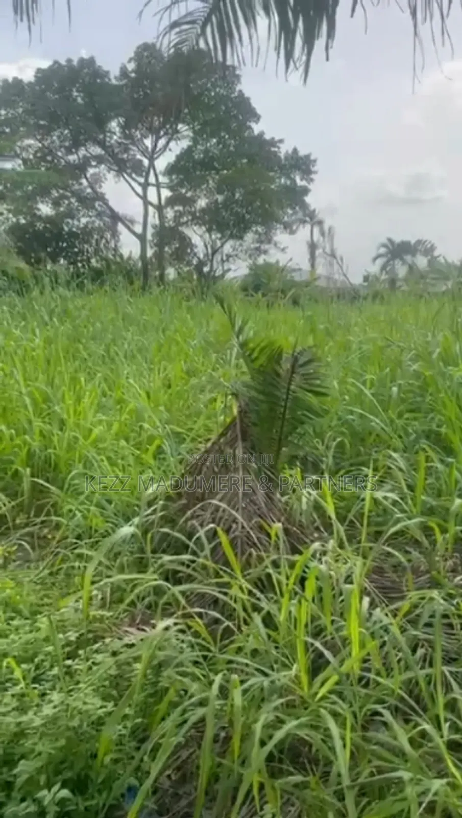 For Sale : 1 Plot at Rukpokwu Ph in Port-Harcourt