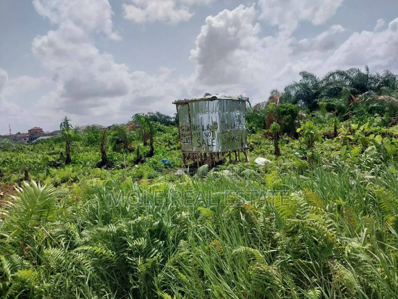 KLMS of Genuine Farmland 4 Sale Odeda Ogun State in Odeda