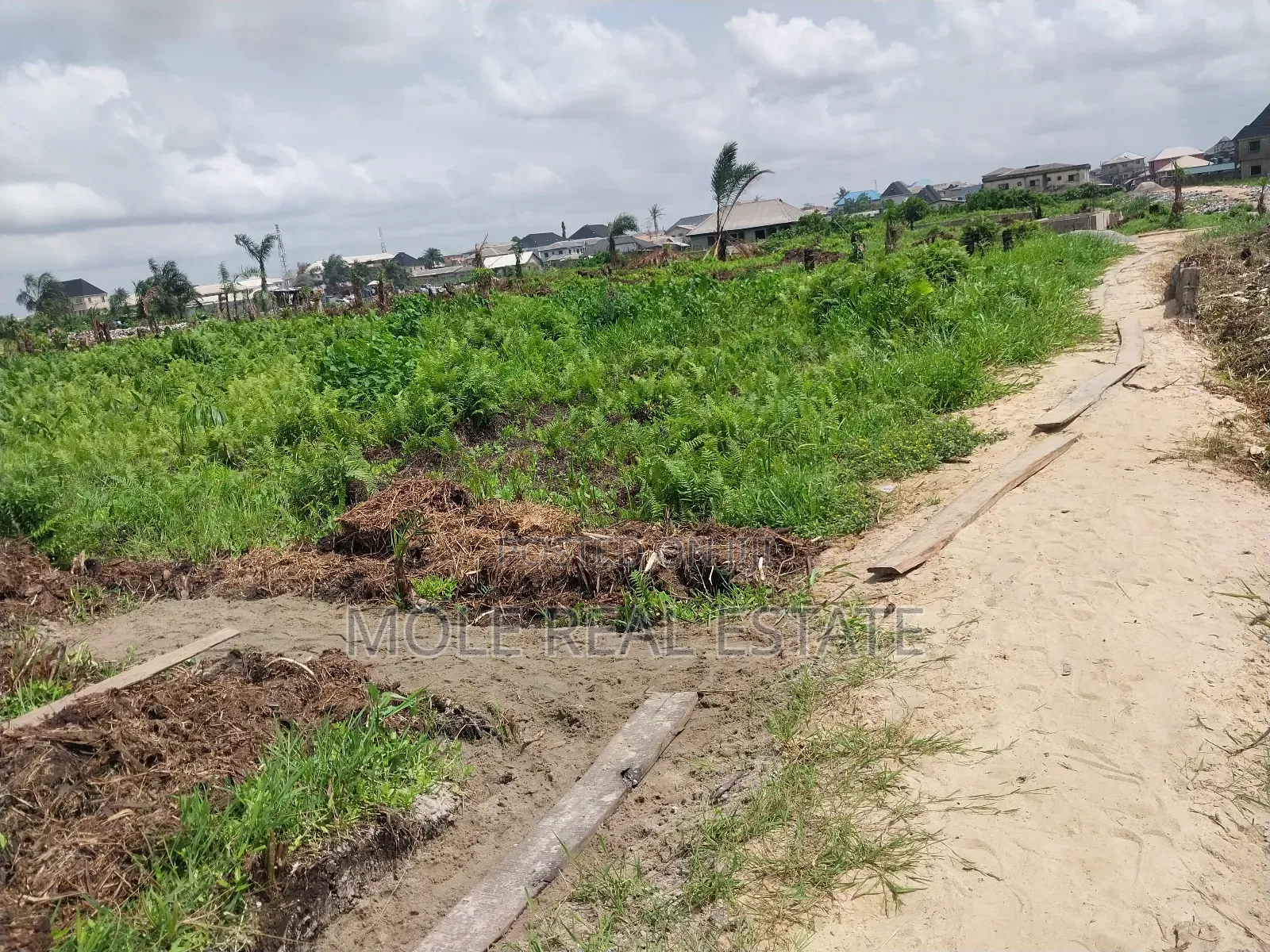 KLMS of Genuine Farmland 4 Sale Odeda Ogun State in Odeda