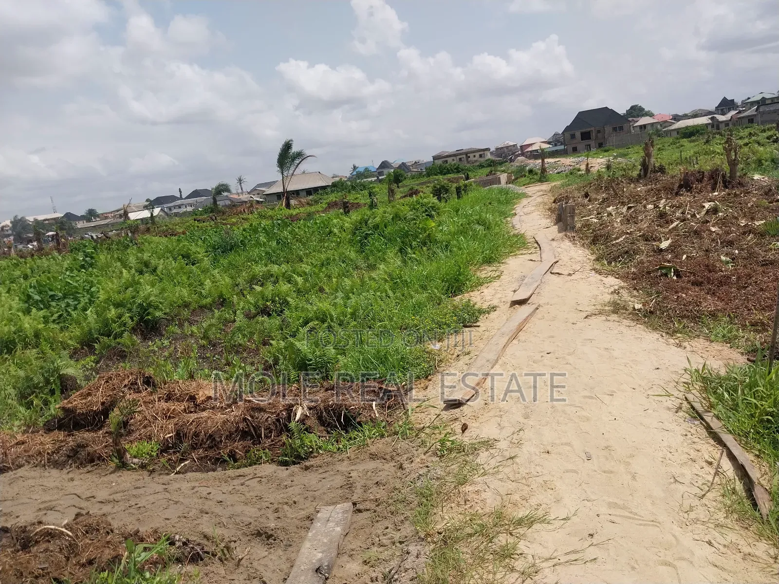 KLMS of Genuine Farmland 4 Sale Odeda Ogun State in Odeda