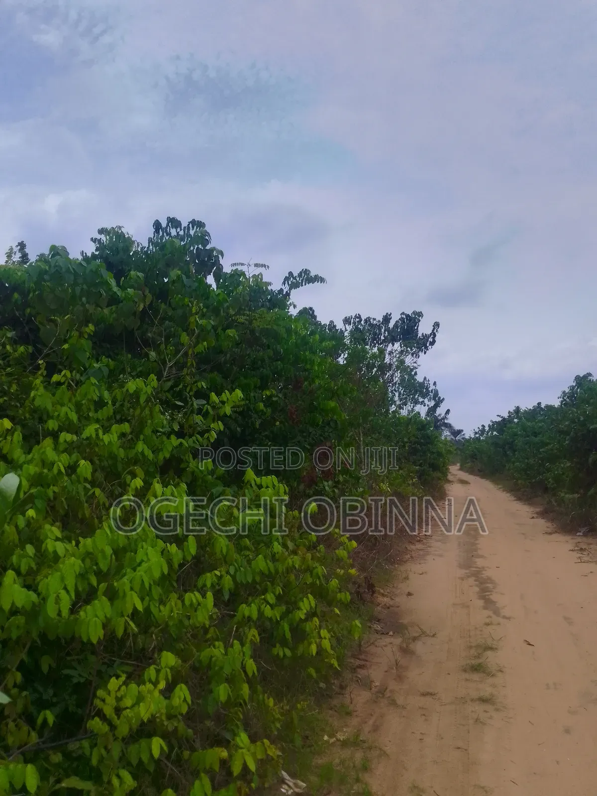 Distress 3 Plots of Genuine Land for Sale at Ulakwo Etche in Port-Harcourt