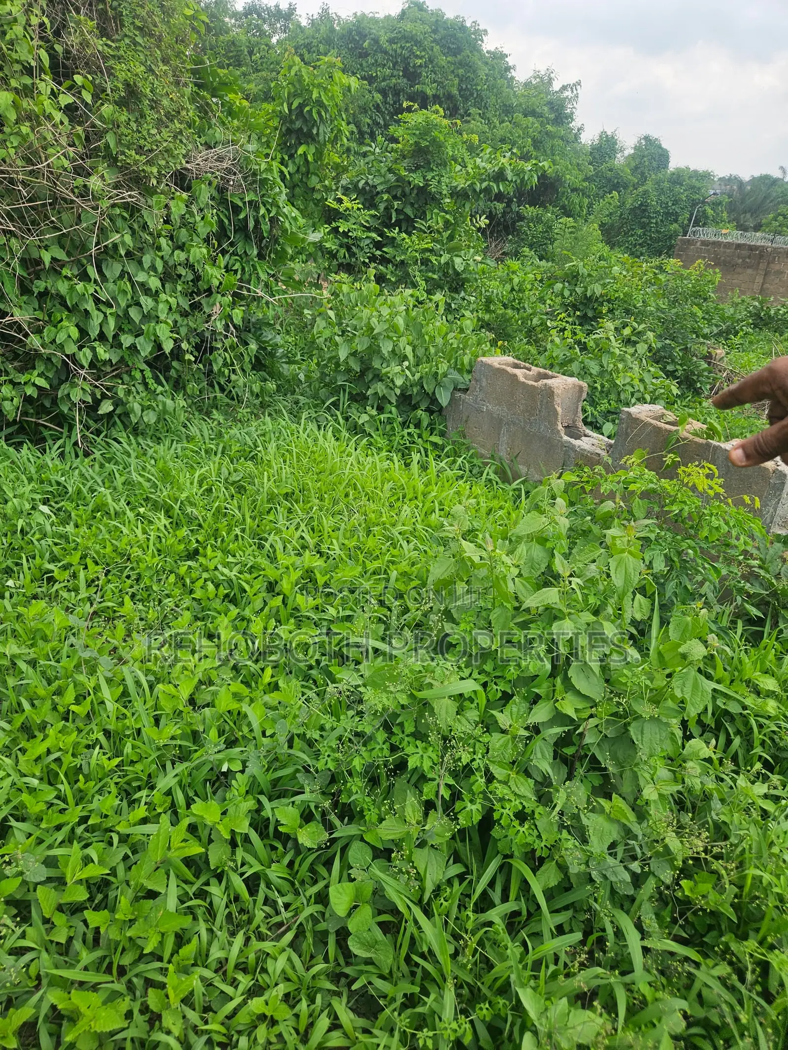 2plot of Land at Akogi Jankanta for Sales in Ibadan