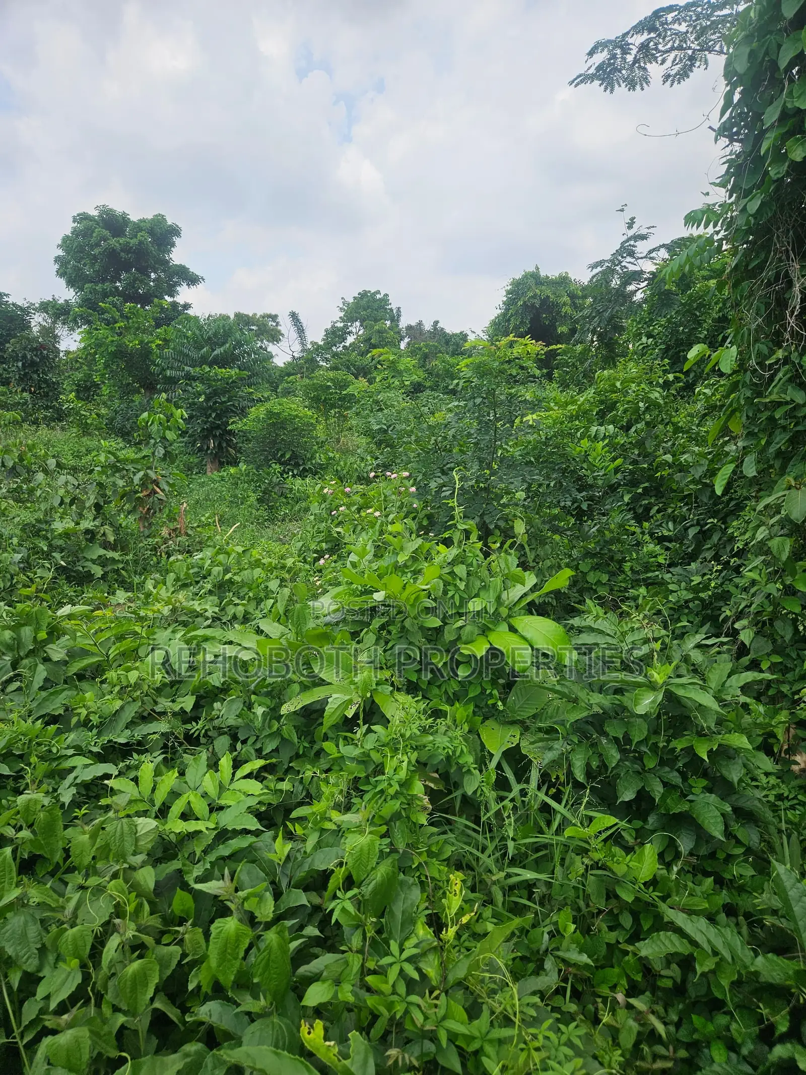 2plot of Land at Akogi Jankanta for Sales in Ibadan