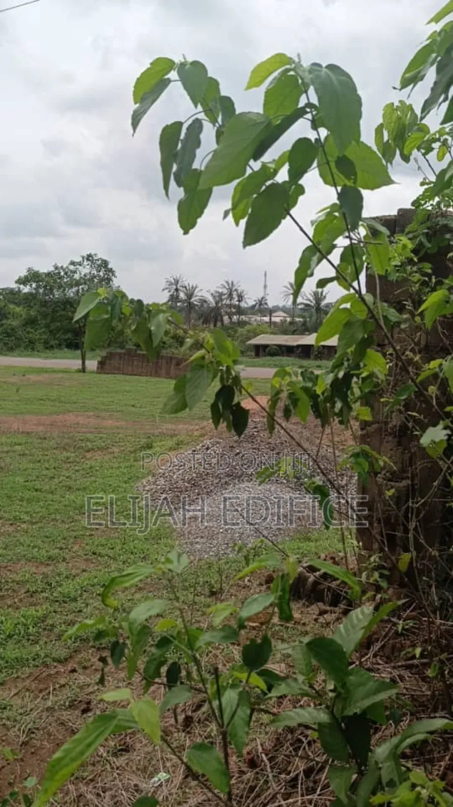 9 Half Plot of Land for Sale at Ofada Facing Major Road. in Sagamu