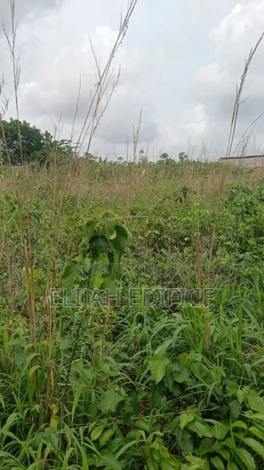 9 Half Plot of Land for Sale at Ofada Facing Major Road. in Sagamu