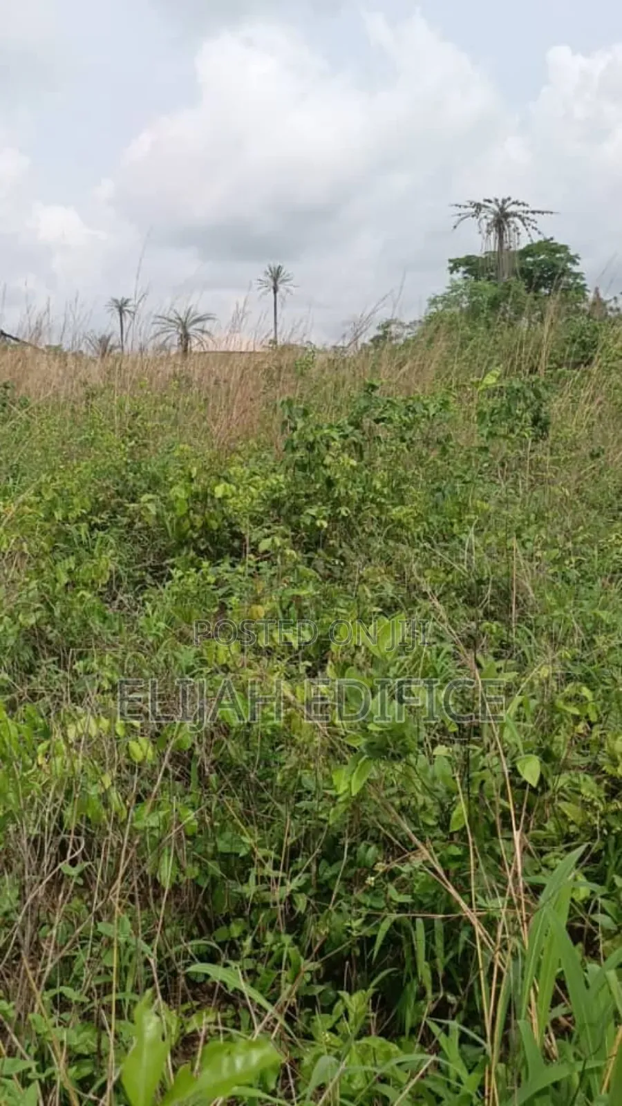 9 Half Plot of Land for Sale at Ofada Facing Major Road. in Sagamu