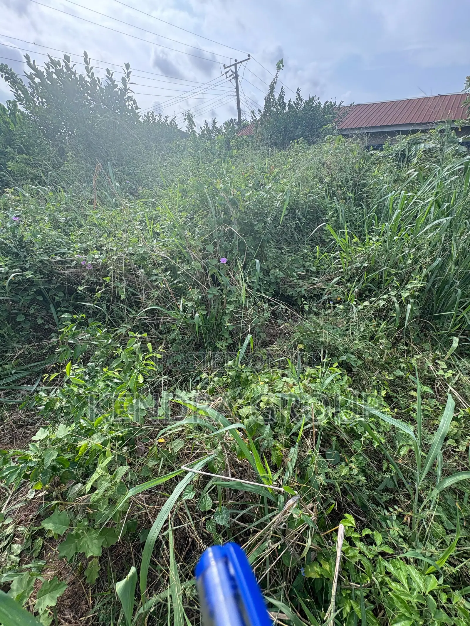 Land for Sale At, Oluodo, Ebute in Ibeshe / Ikorodu