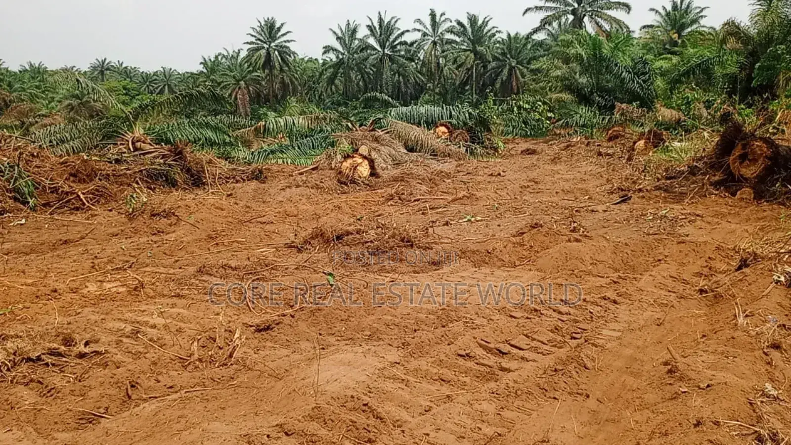 Ogbor Hill, Along Opobo Azumini, Obingwa Aba in Obi Ngwa