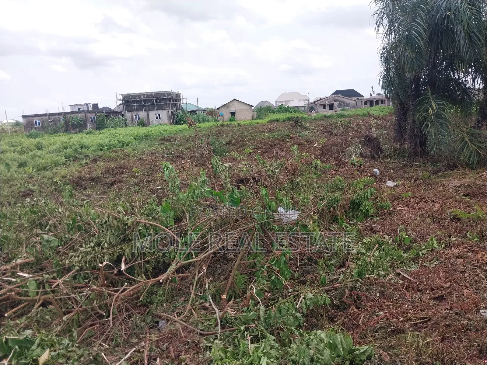 2 Plots of Land Facing Isheri Lasu Expressway in Isheri North