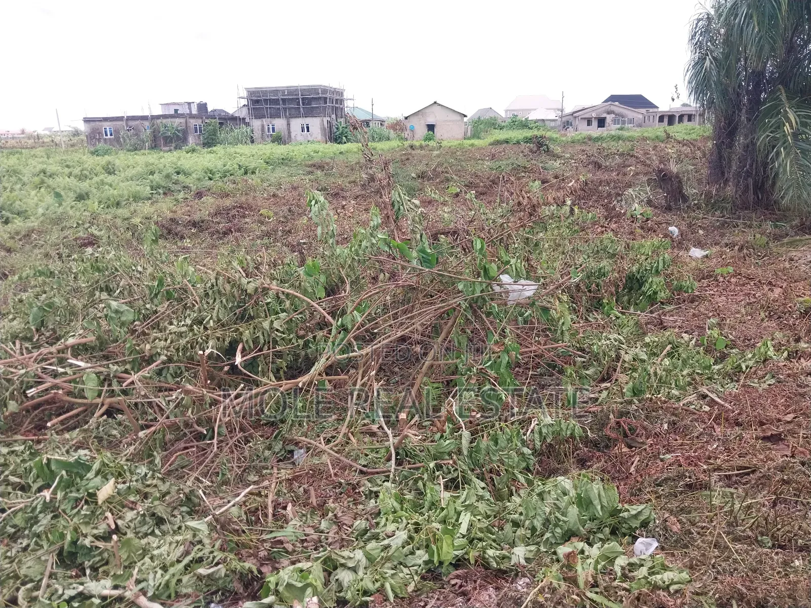 2 Plots of Land Facing Isheri Lasu Expressway in Isheri North