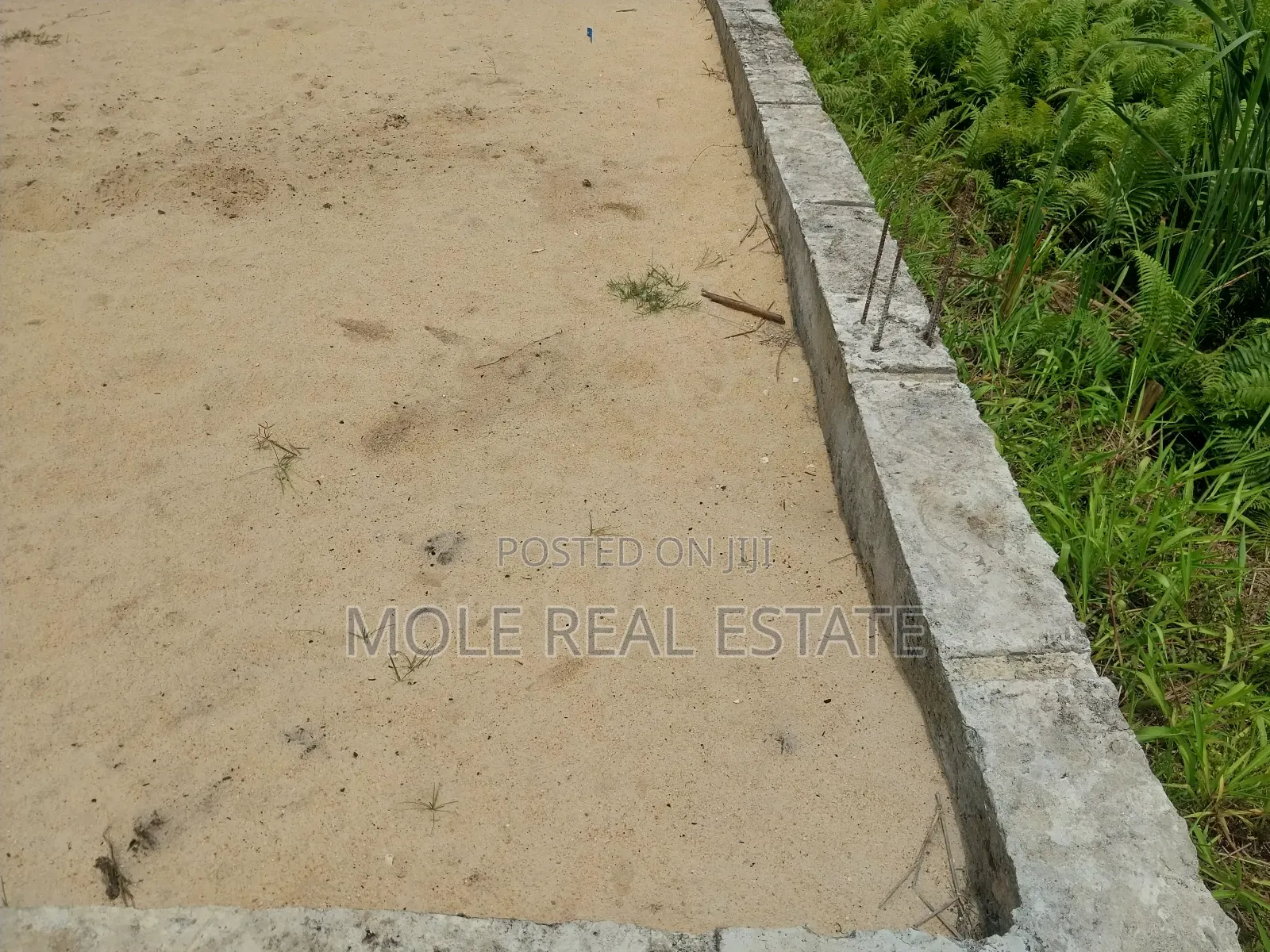 Over 200 Acres of Farmland Odeda Ogun State in Odeda