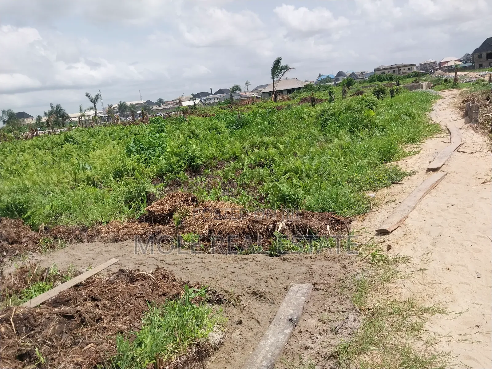Over 500 Acres of Farmland Mologede Odeda Ogun State in Odeda