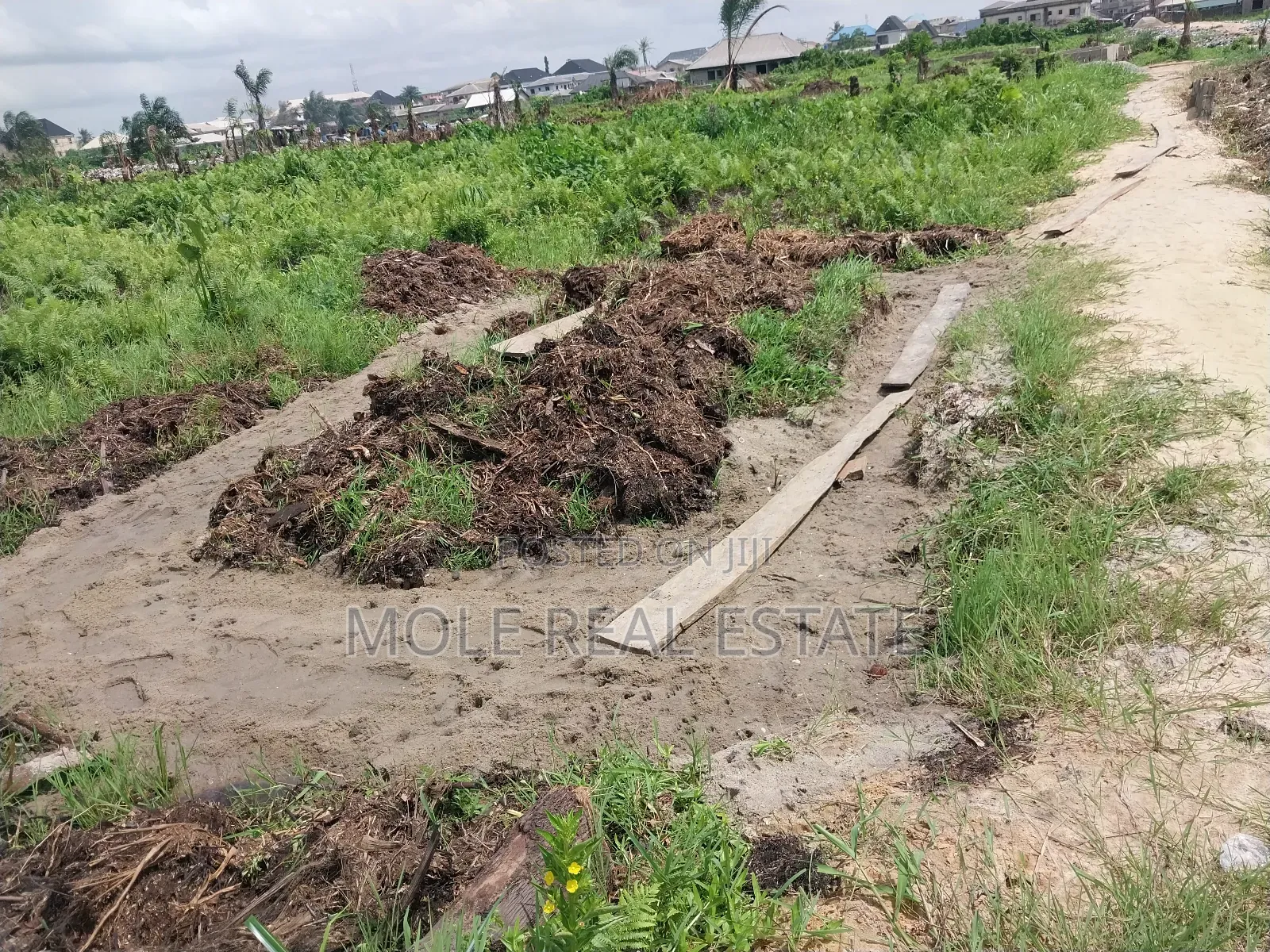 Over 500 Acres of Farmland Mologede Odeda Ogun State in Odeda